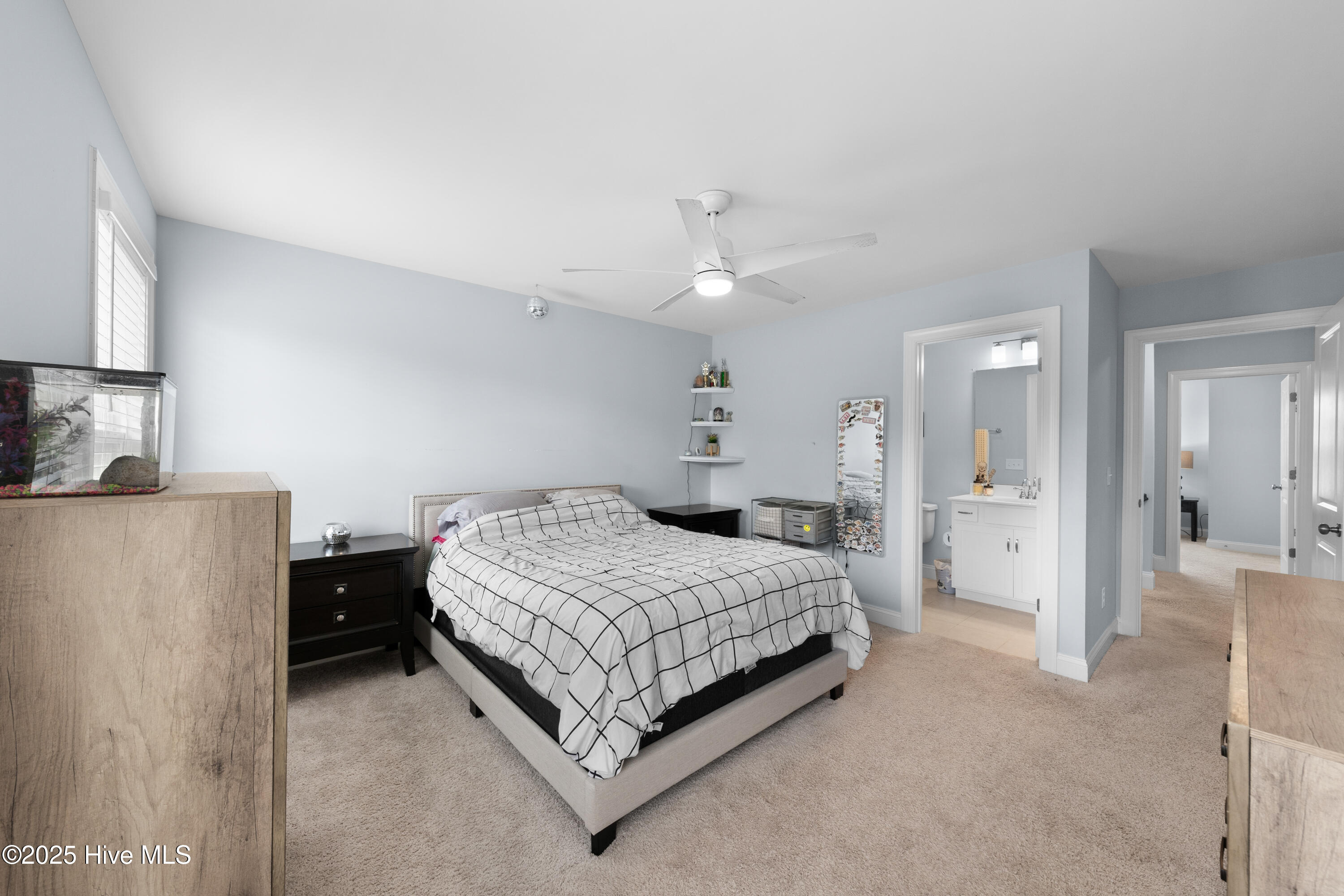 100512596 | Photo 29