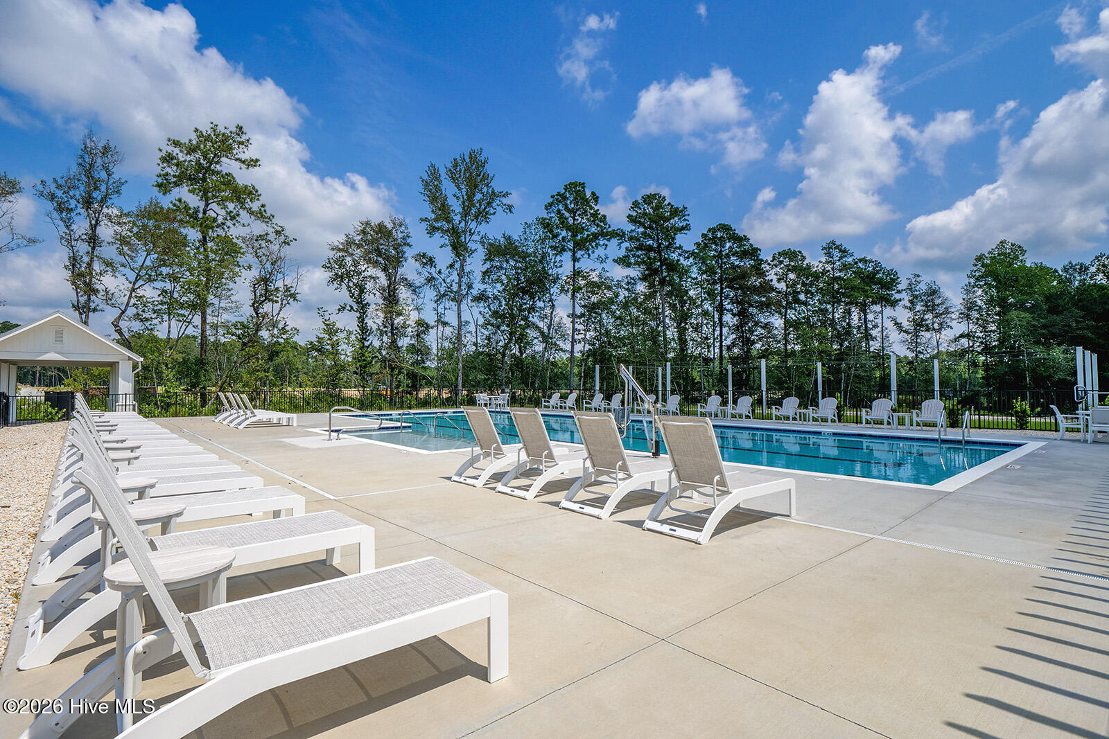 100567572 | Photo 40