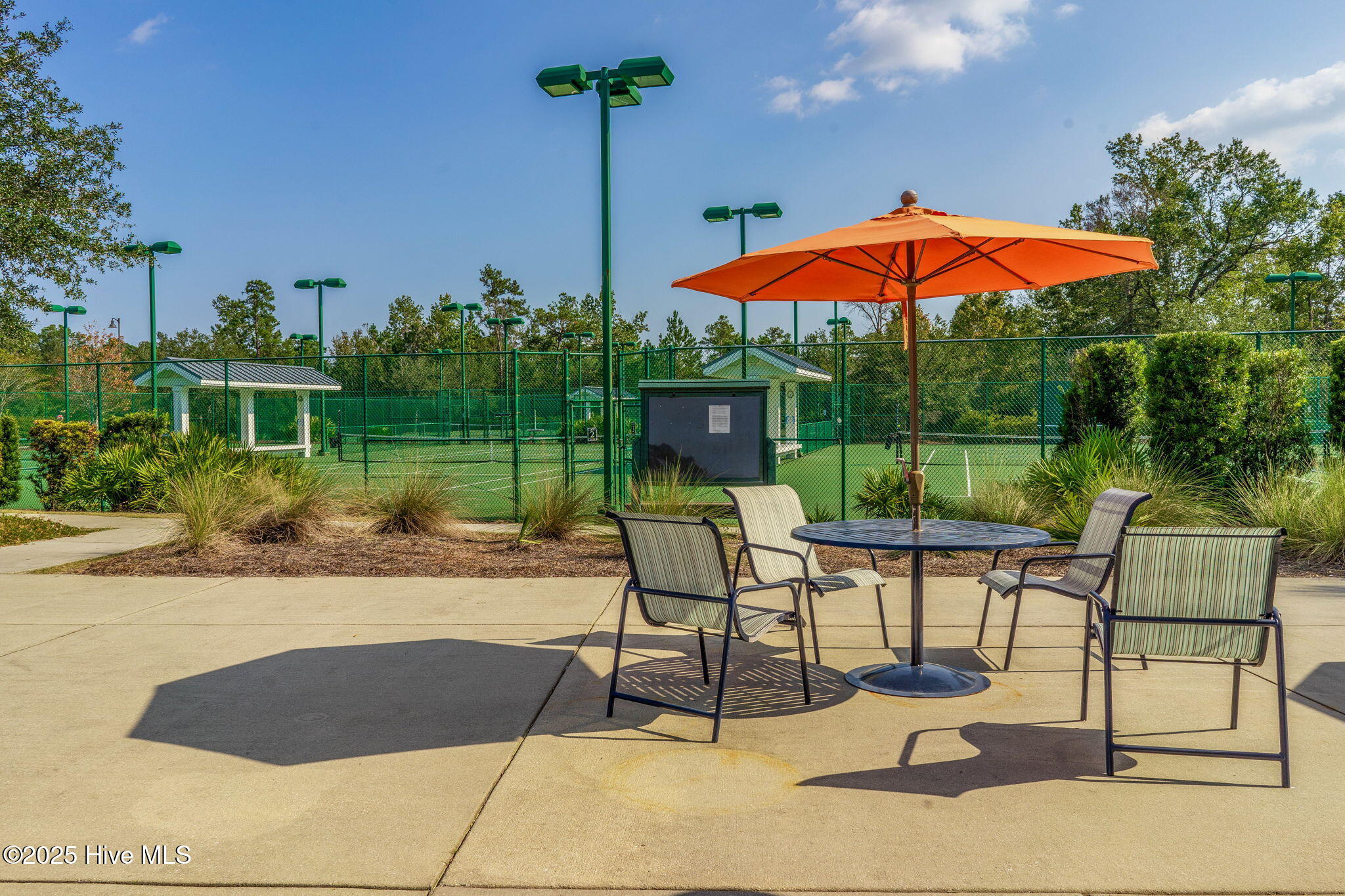 100538493 | Photo 42