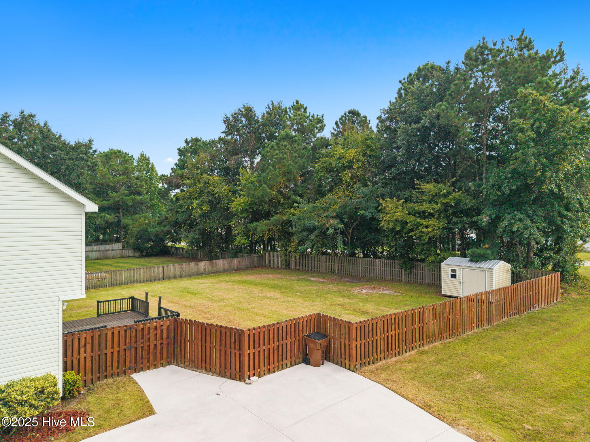 100532081 | Photo 18