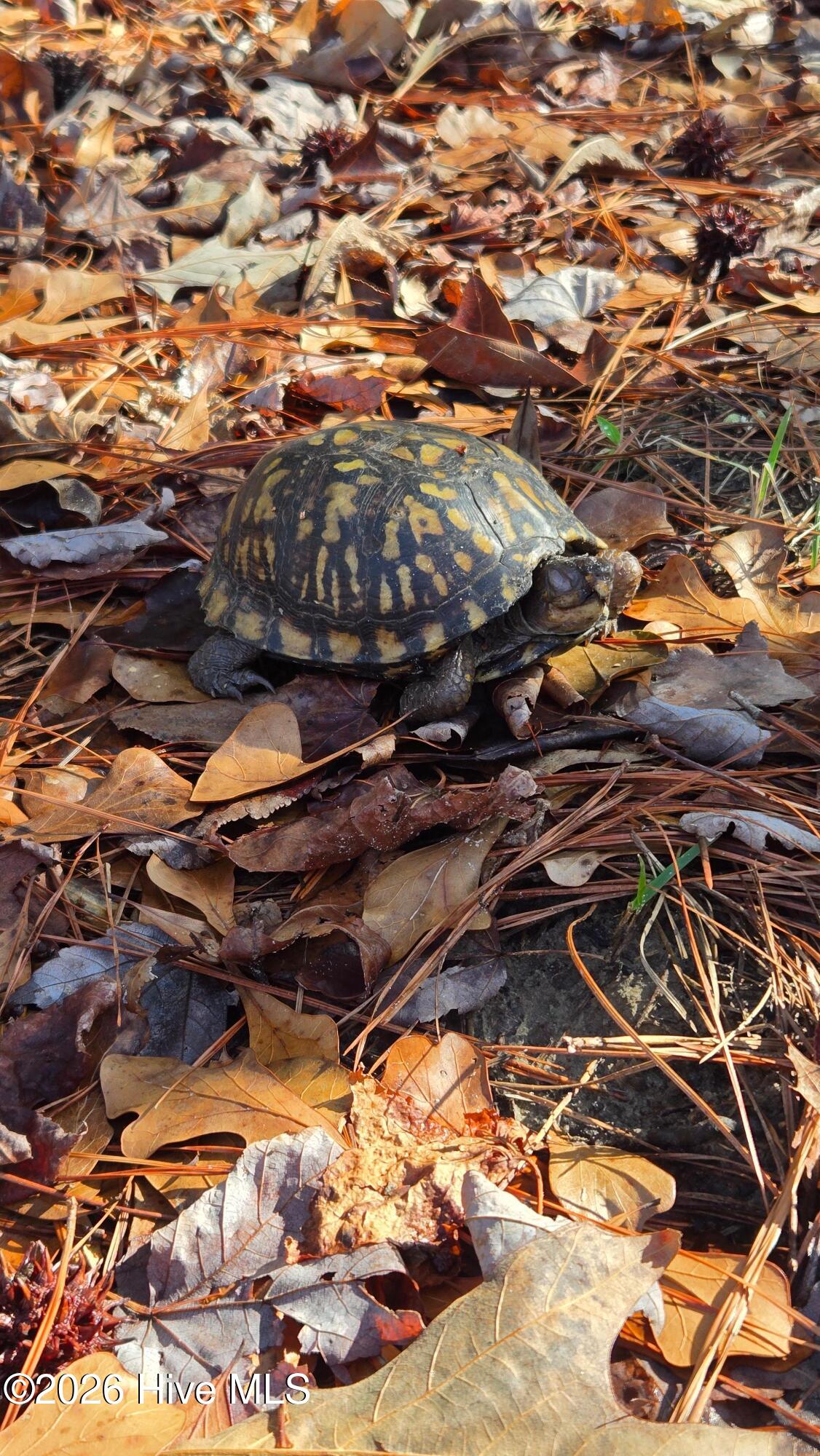 100559678 | Photo 48