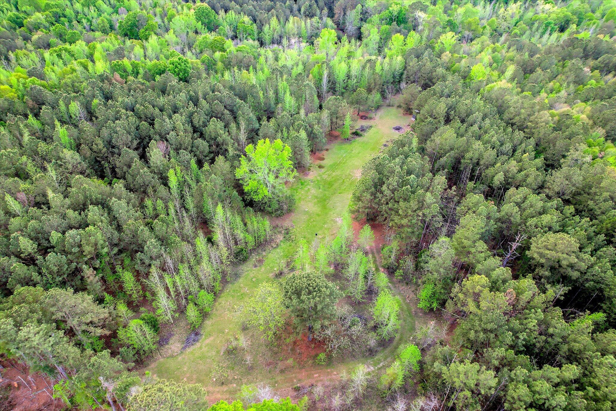 6995 Cobbham Road, Appling, GA, 30802