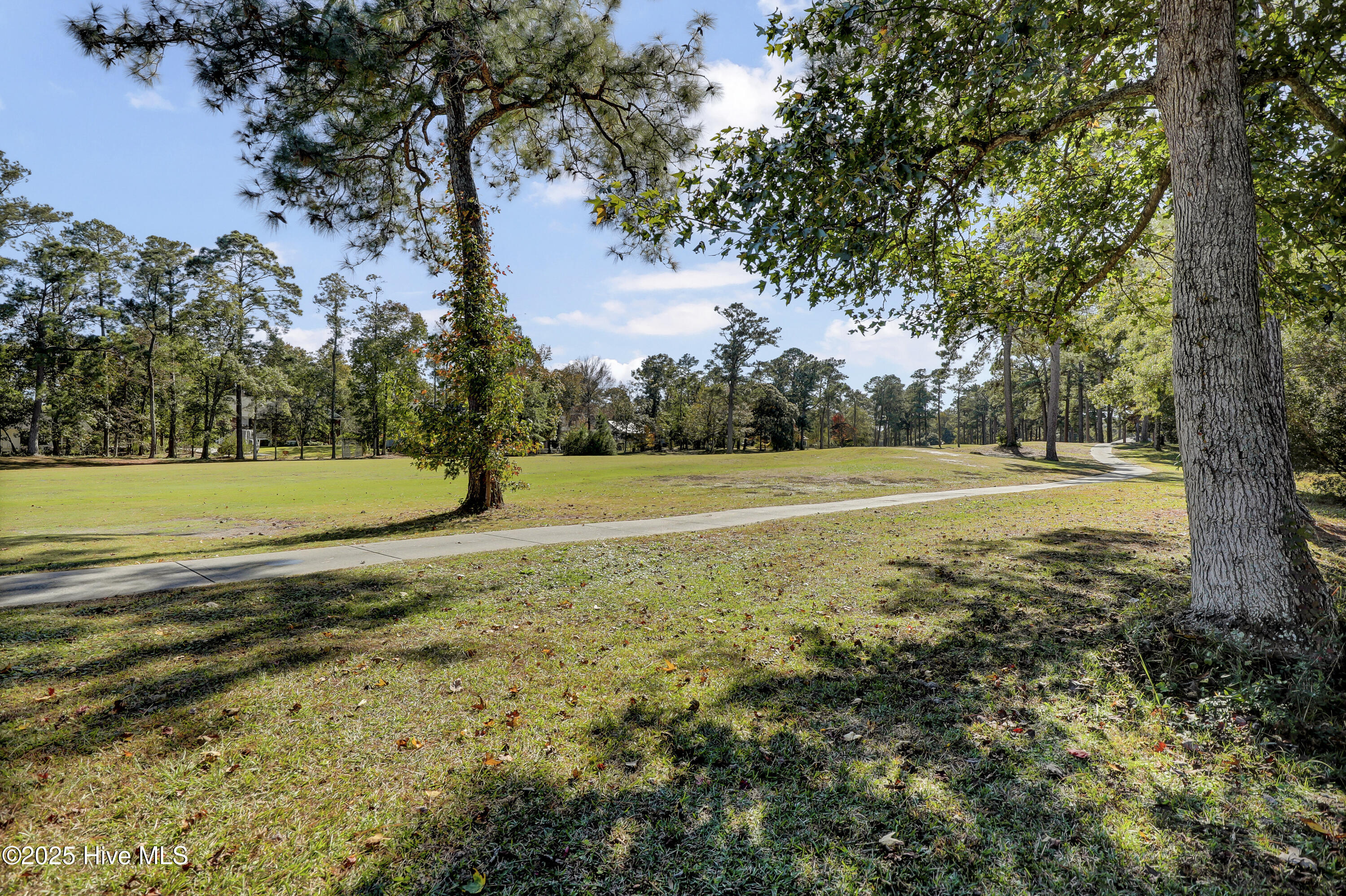 100539078 | Photo 26