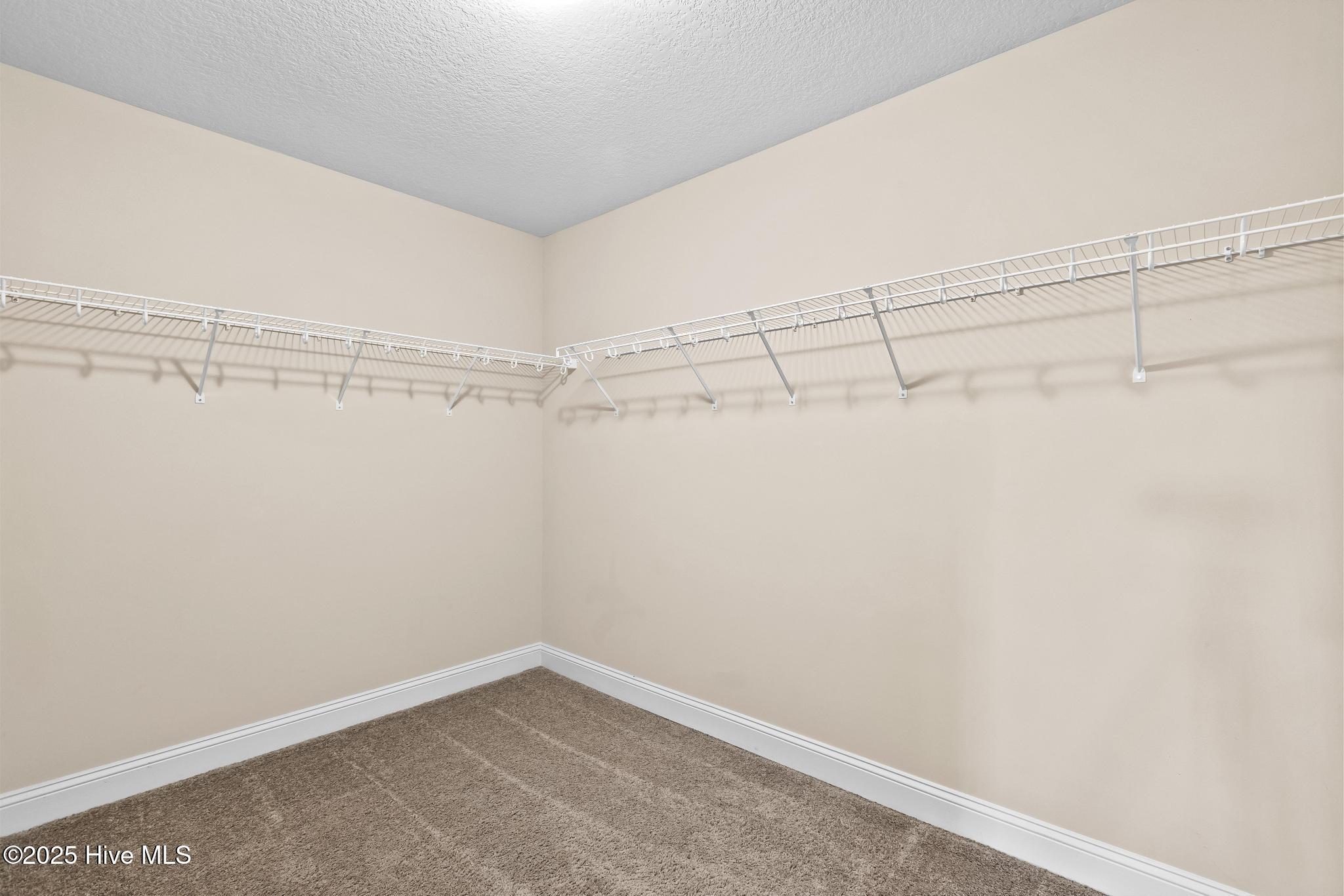 100536910 | Photo 42