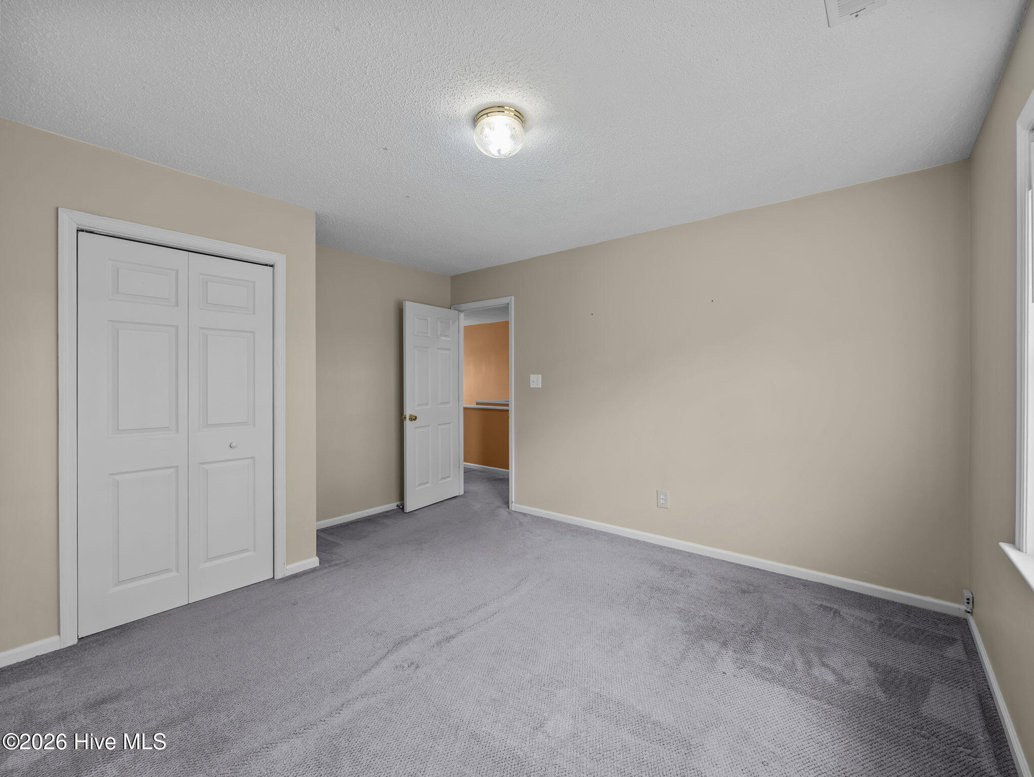 100565135 | Photo 23