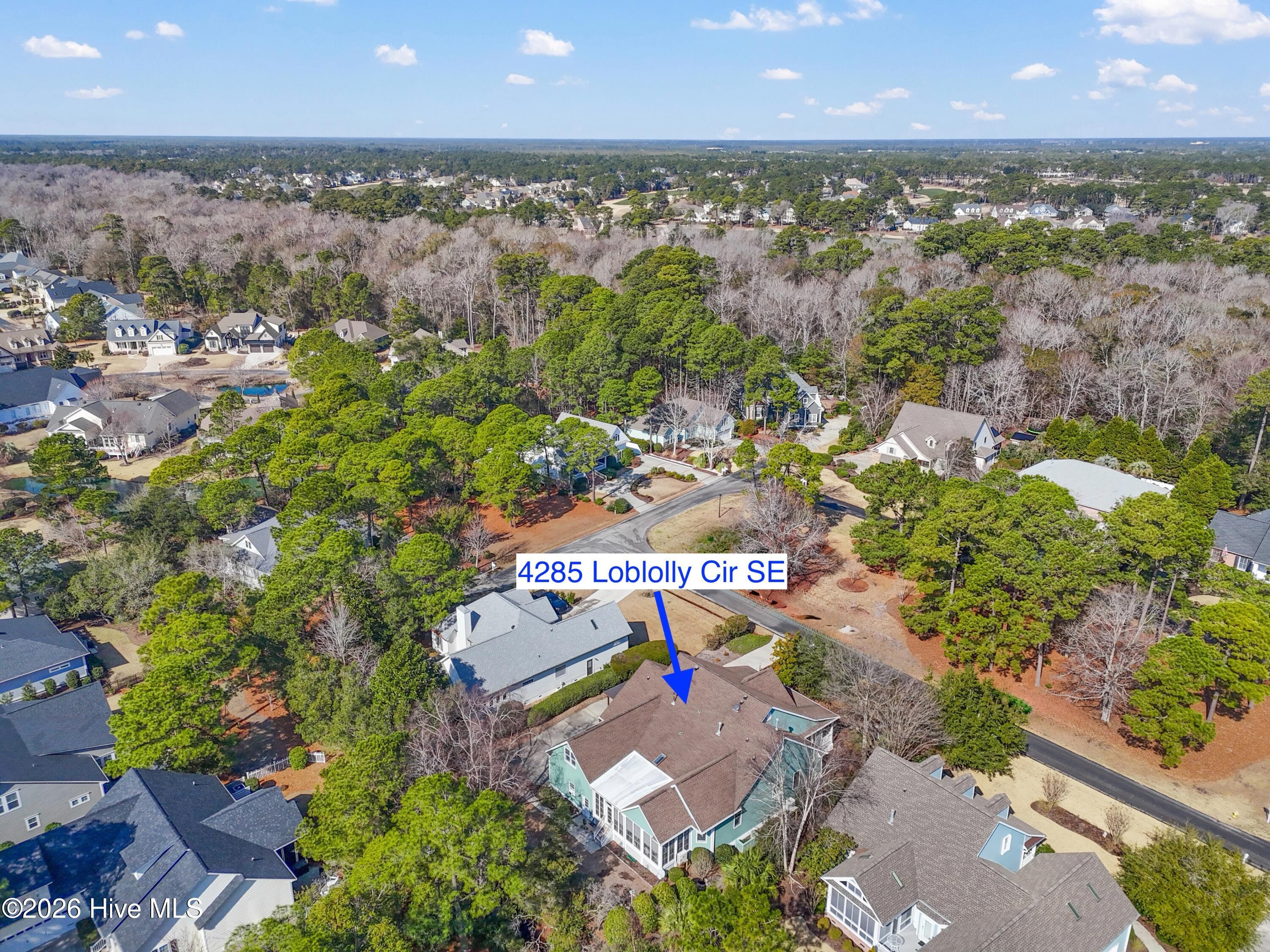 100556962 | Photo 60