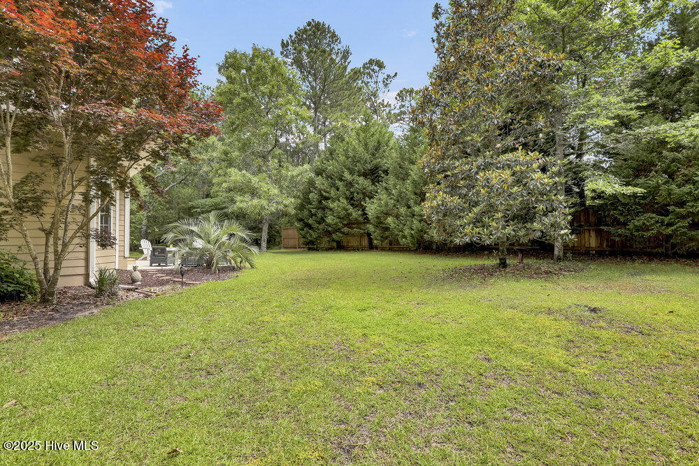 100513085 | Photo 46