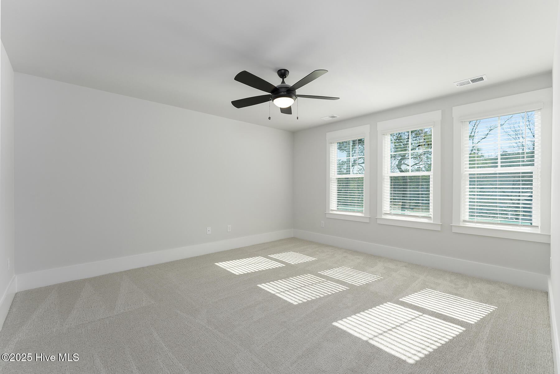 100506465 | Photo 11