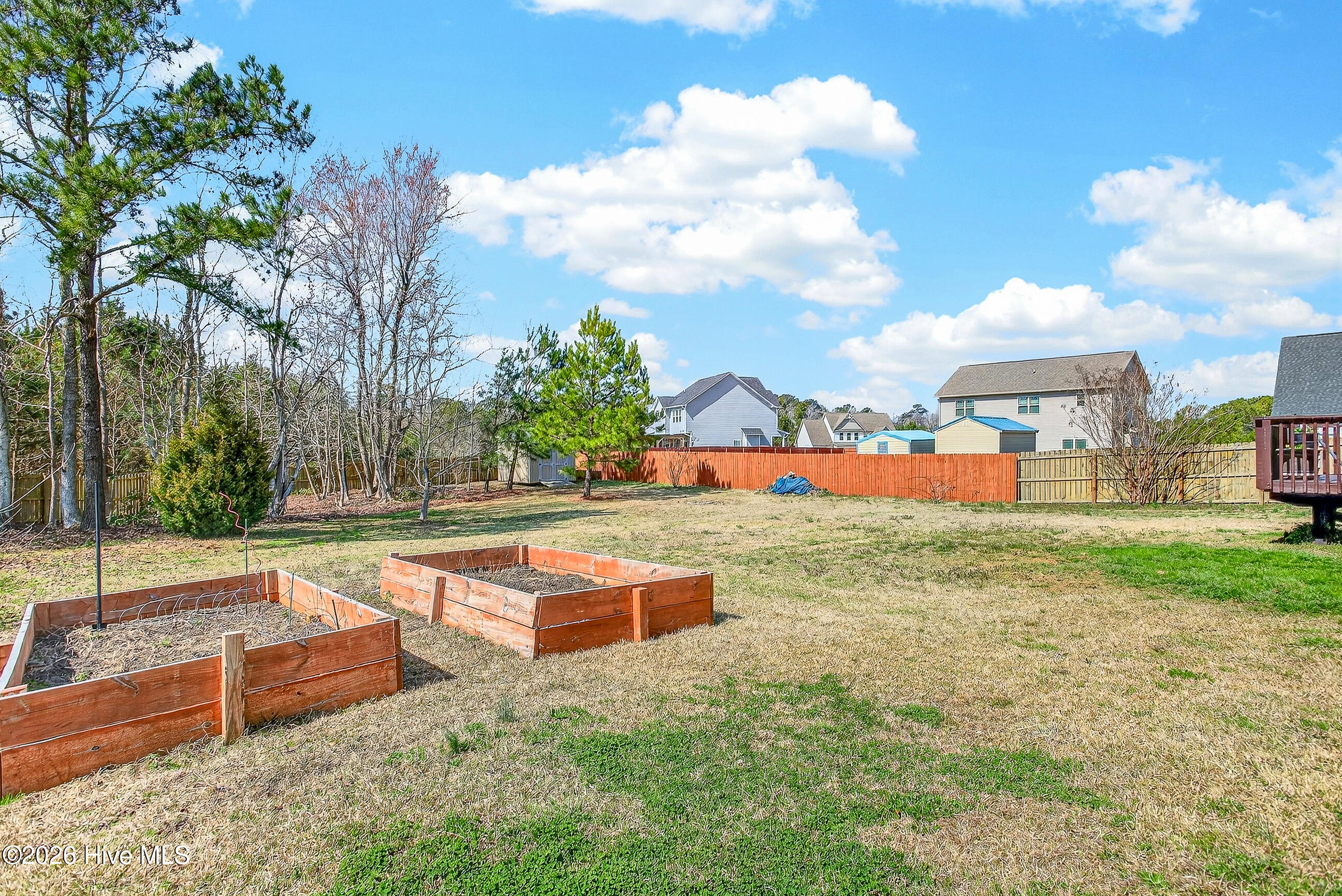 100564735 | Photo 29