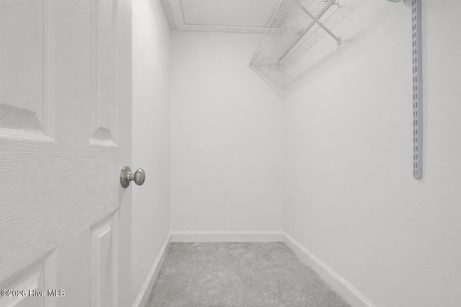 100566573 | Photo 40