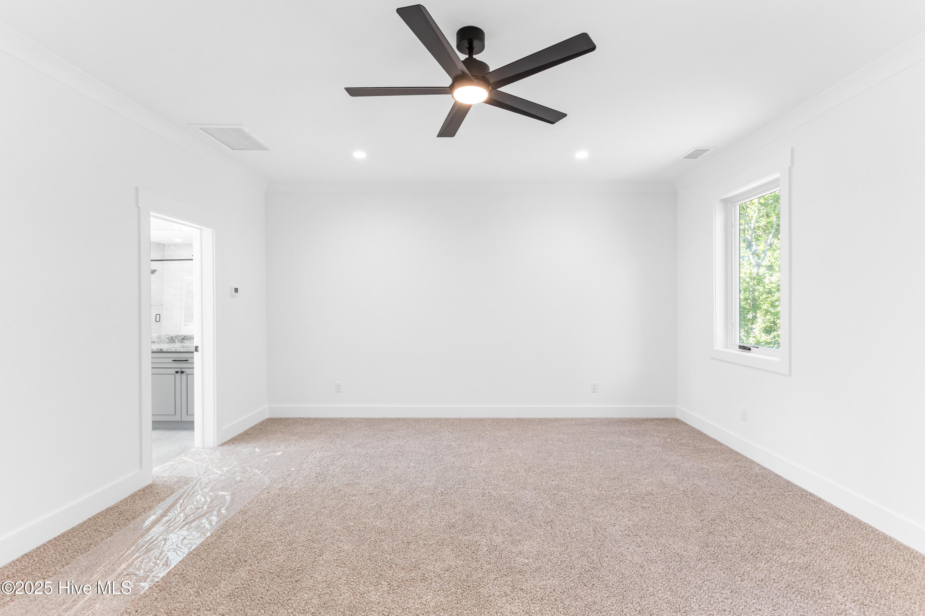 100535066 | Photo 24