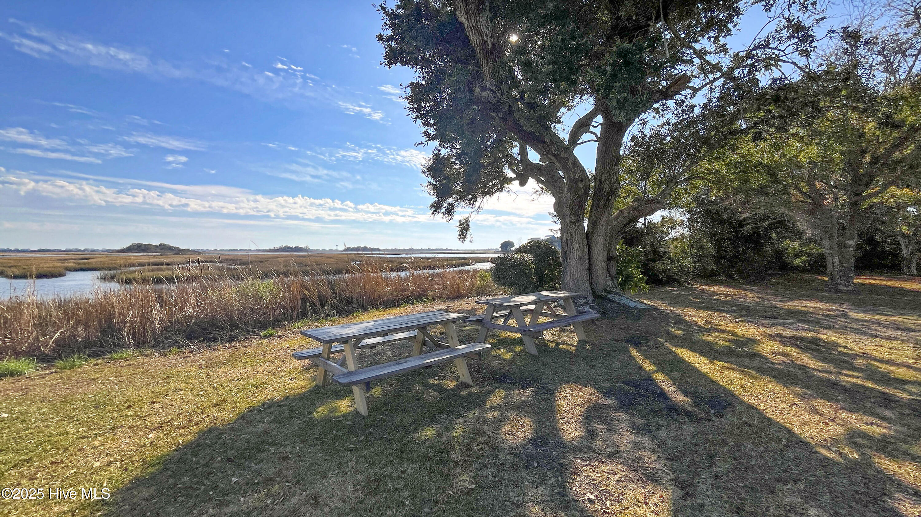 100538387 | Photo 42