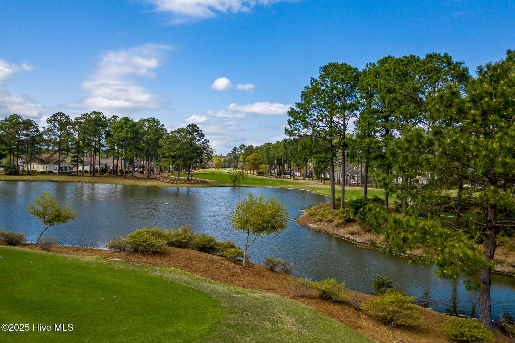 100565271 | Photo 29