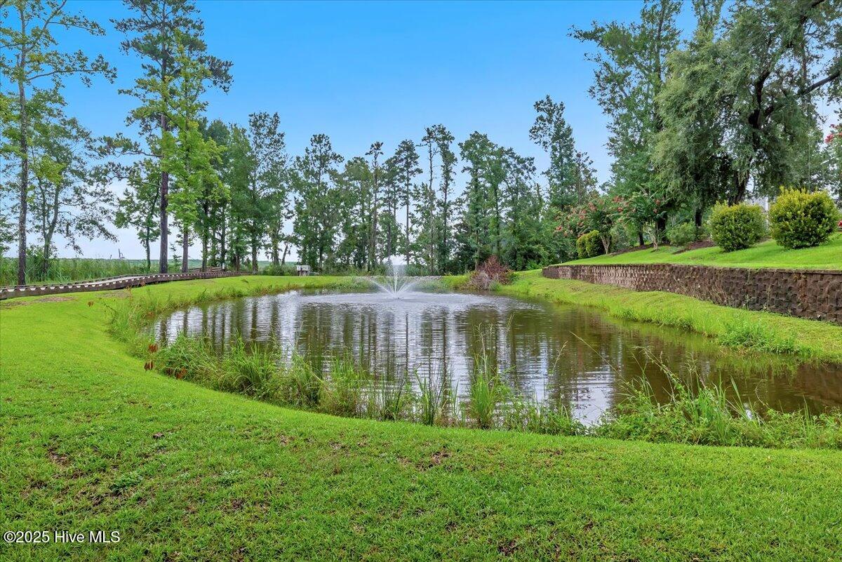 100523445 | Photo 77