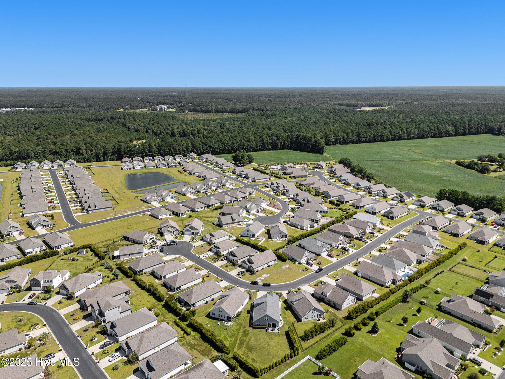 100529053 | Photo 45