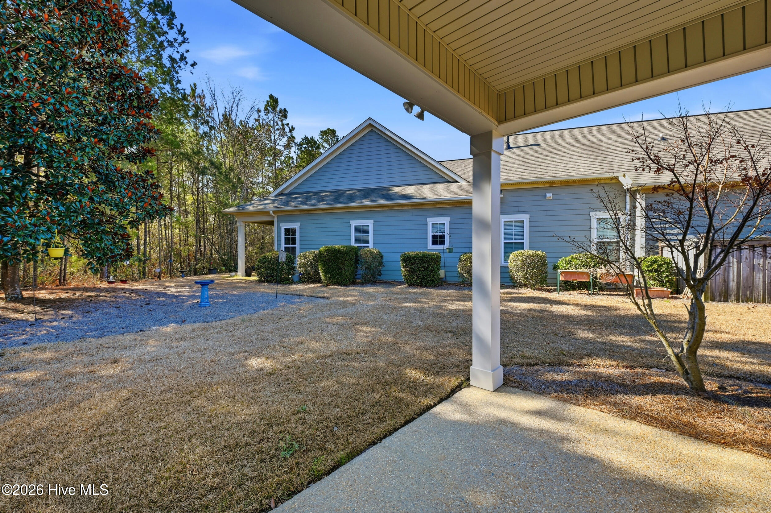 100556965 | Photo 40