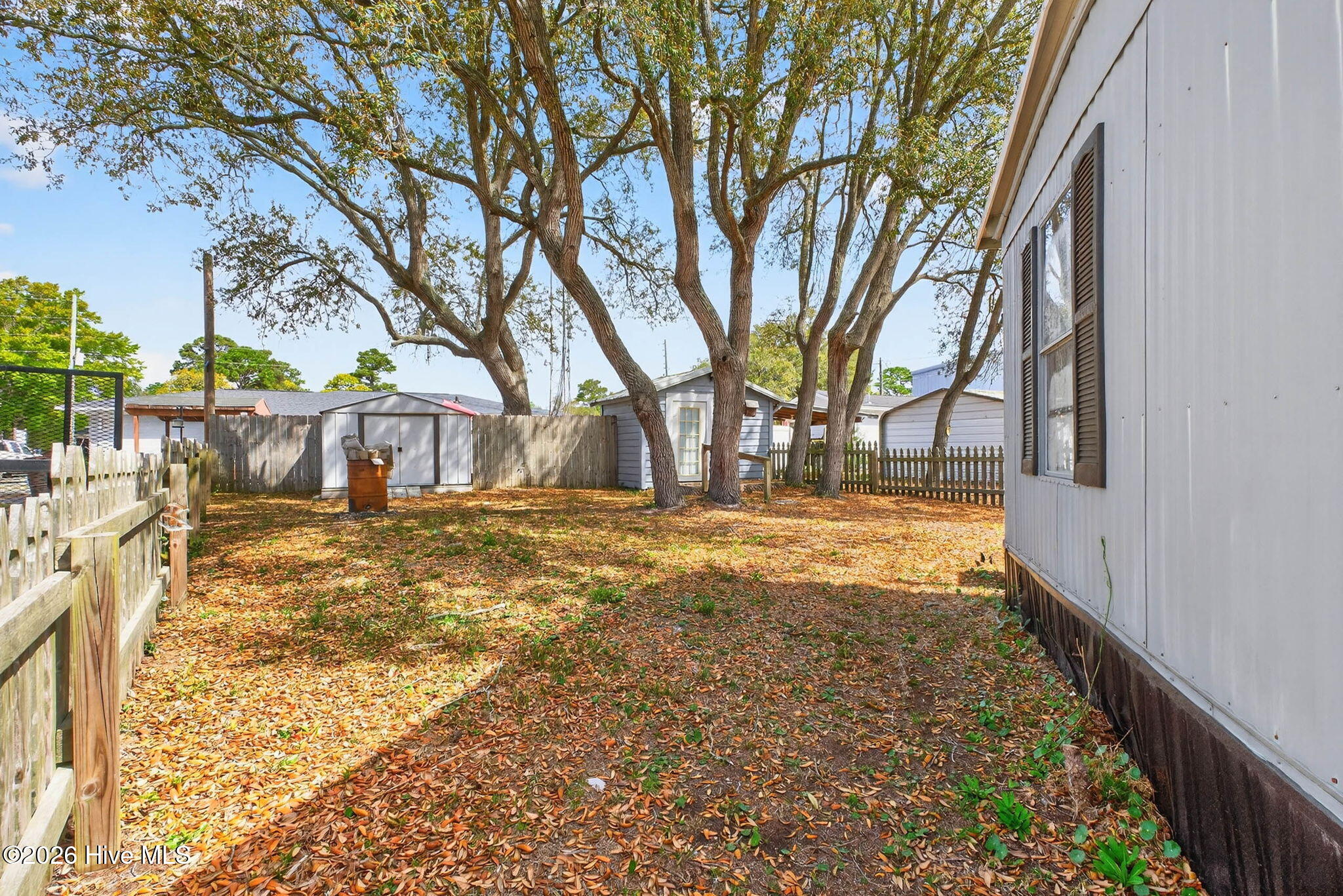 100564945 | Photo 18