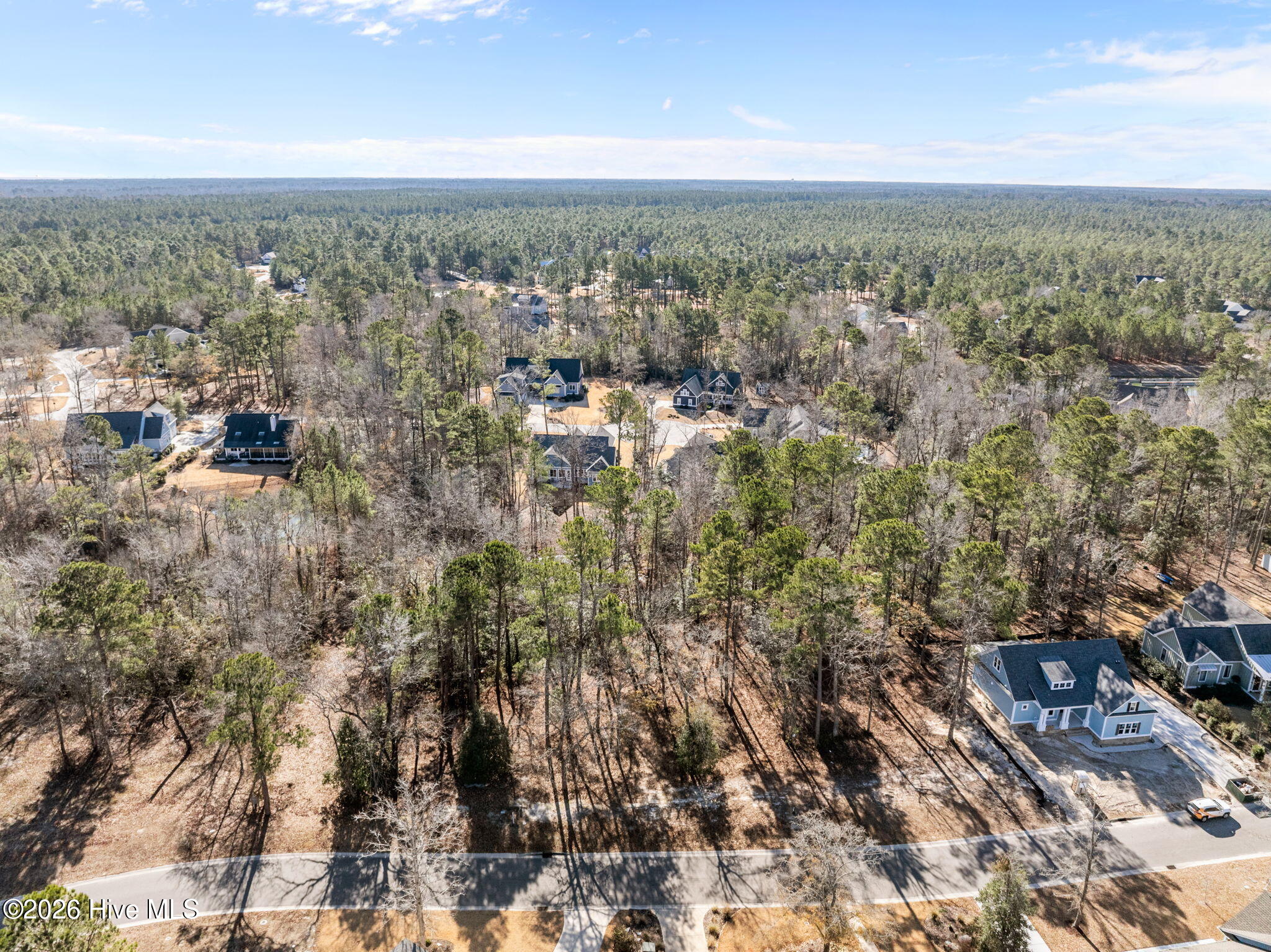 100547475 | Photo 18