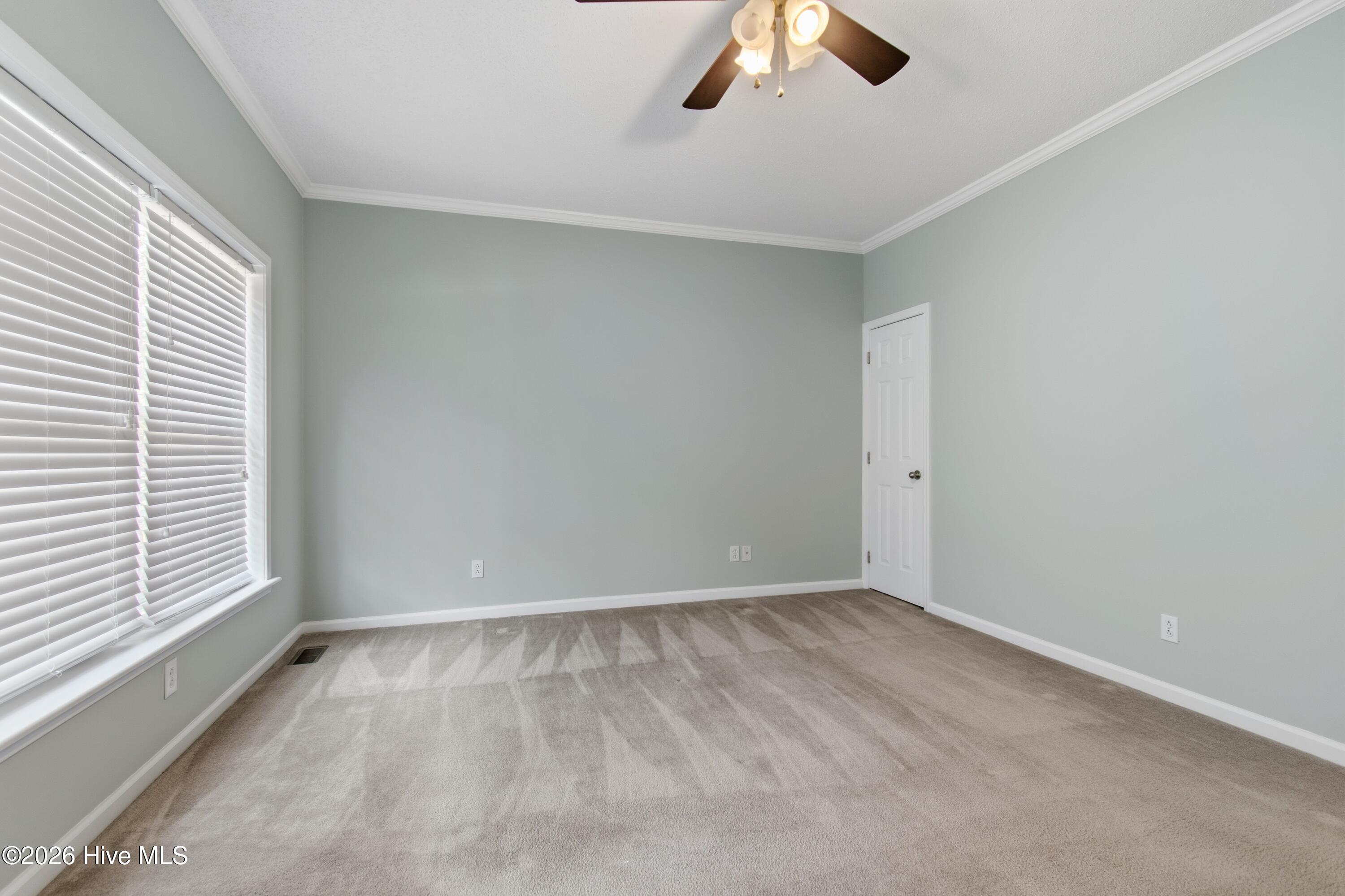 100556655 | Photo 46