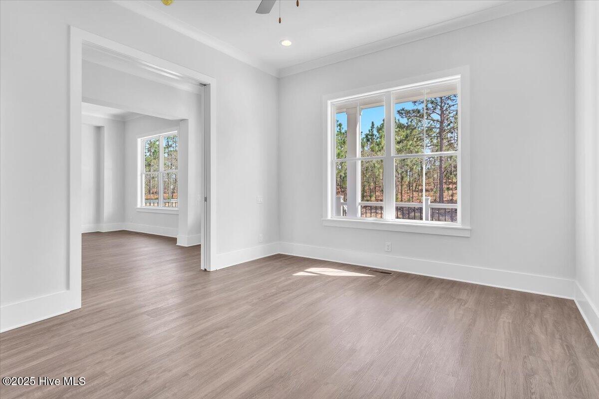 100495724 | Photo 15