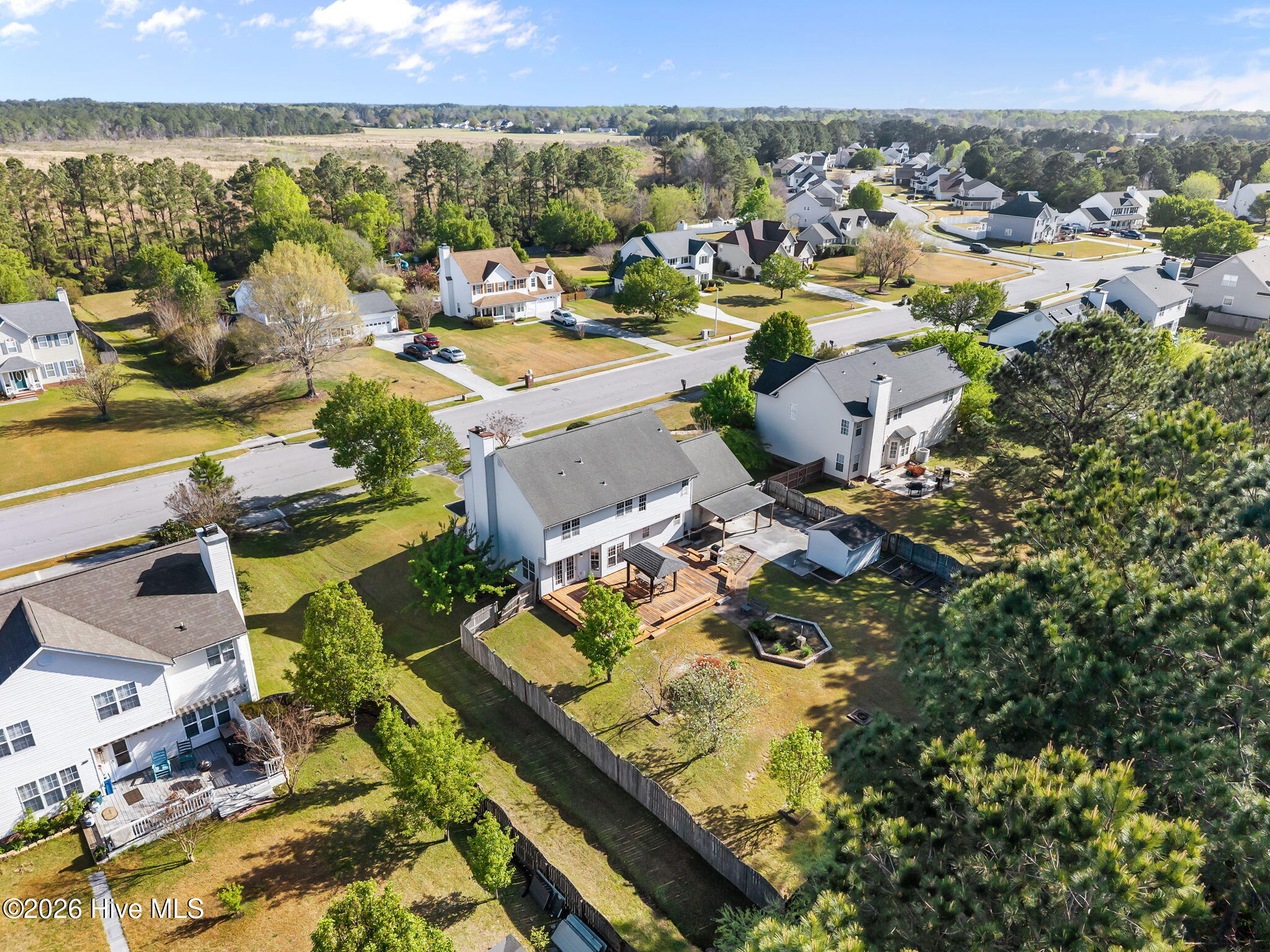 100565135 | Photo 43