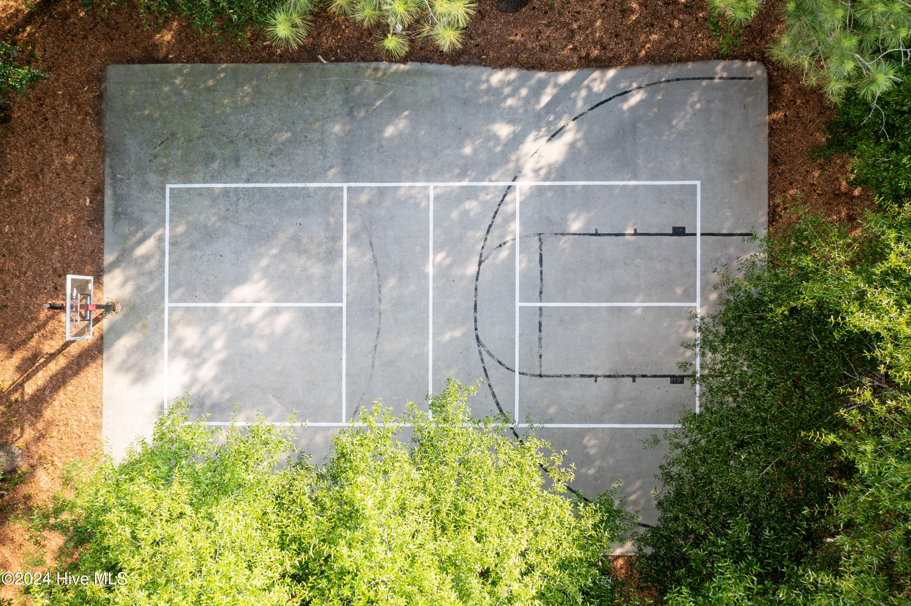 100550699 | Photo 14