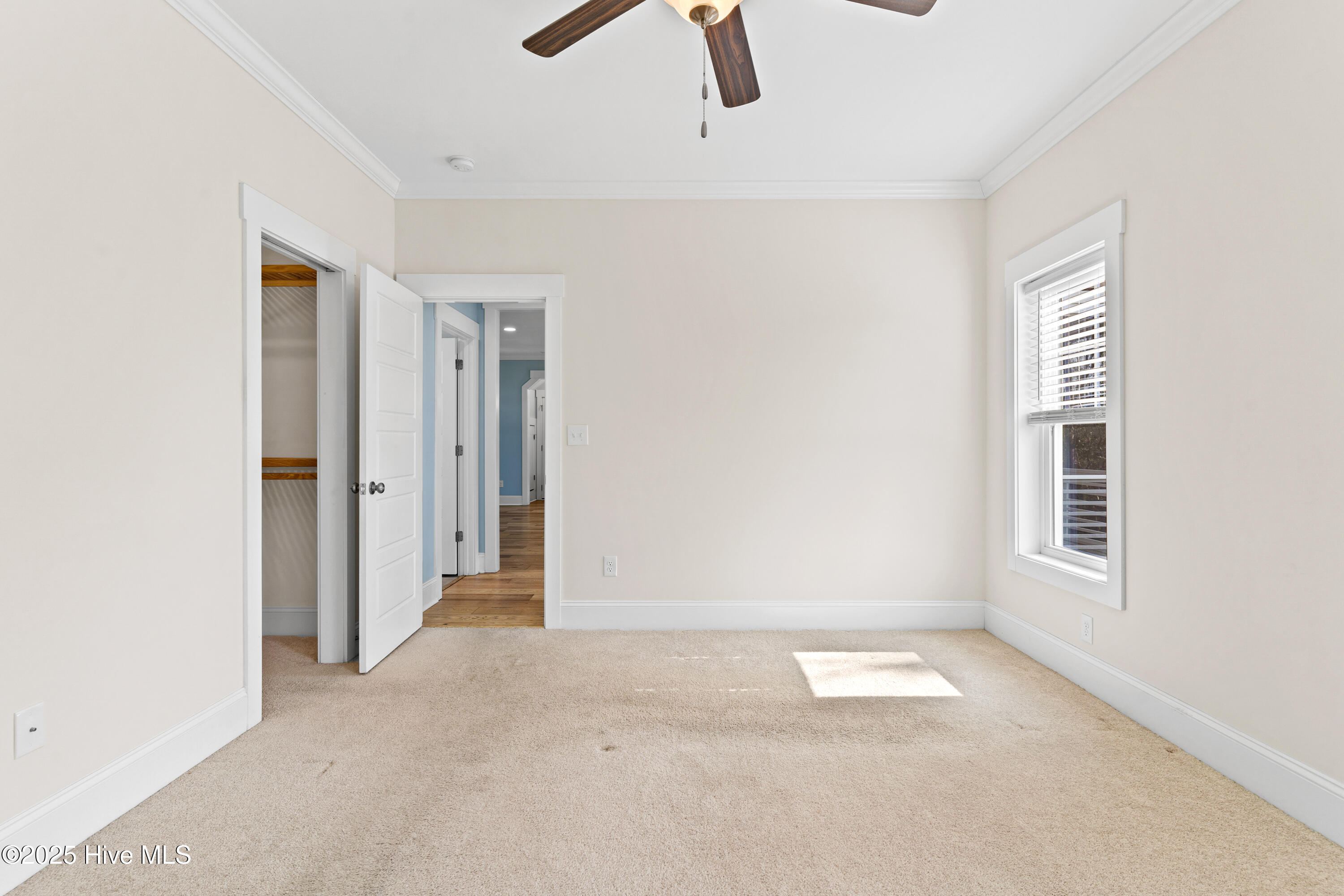 100529513 | Photo 24