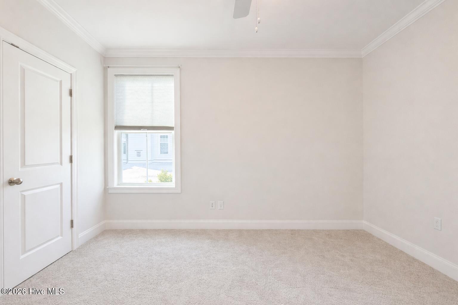 100567915 | Photo 62