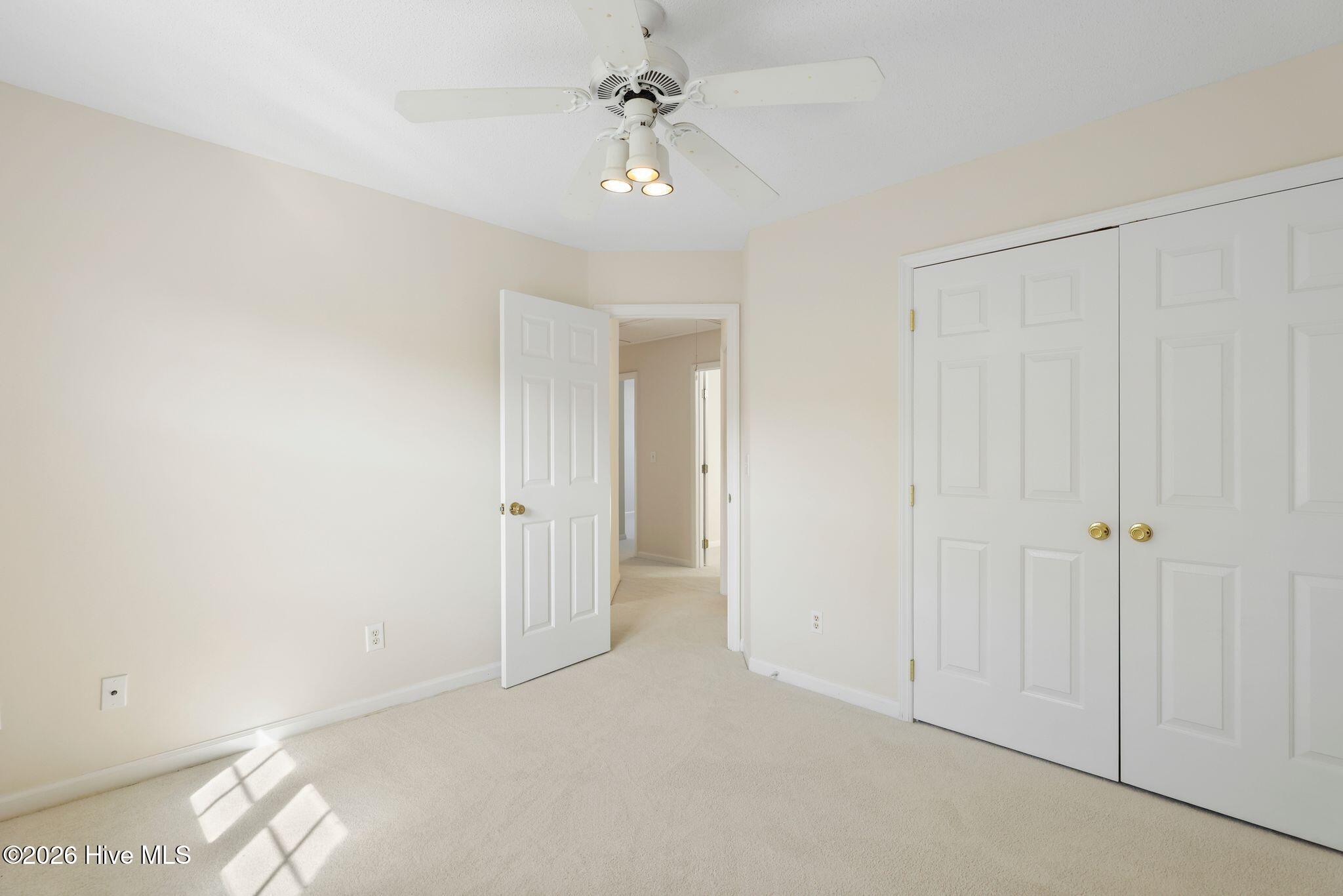 100558031 | Photo 37