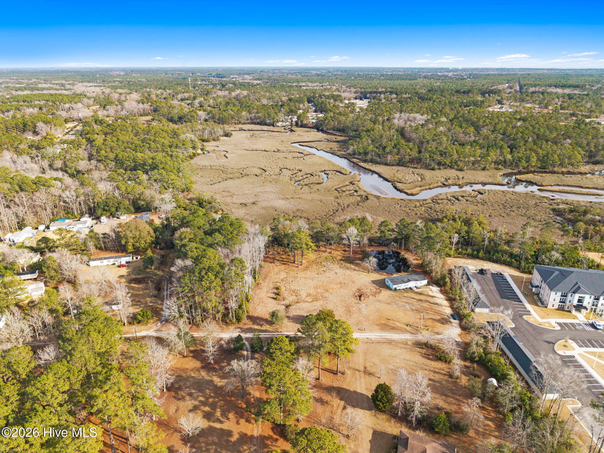 100552116 | Photo 16