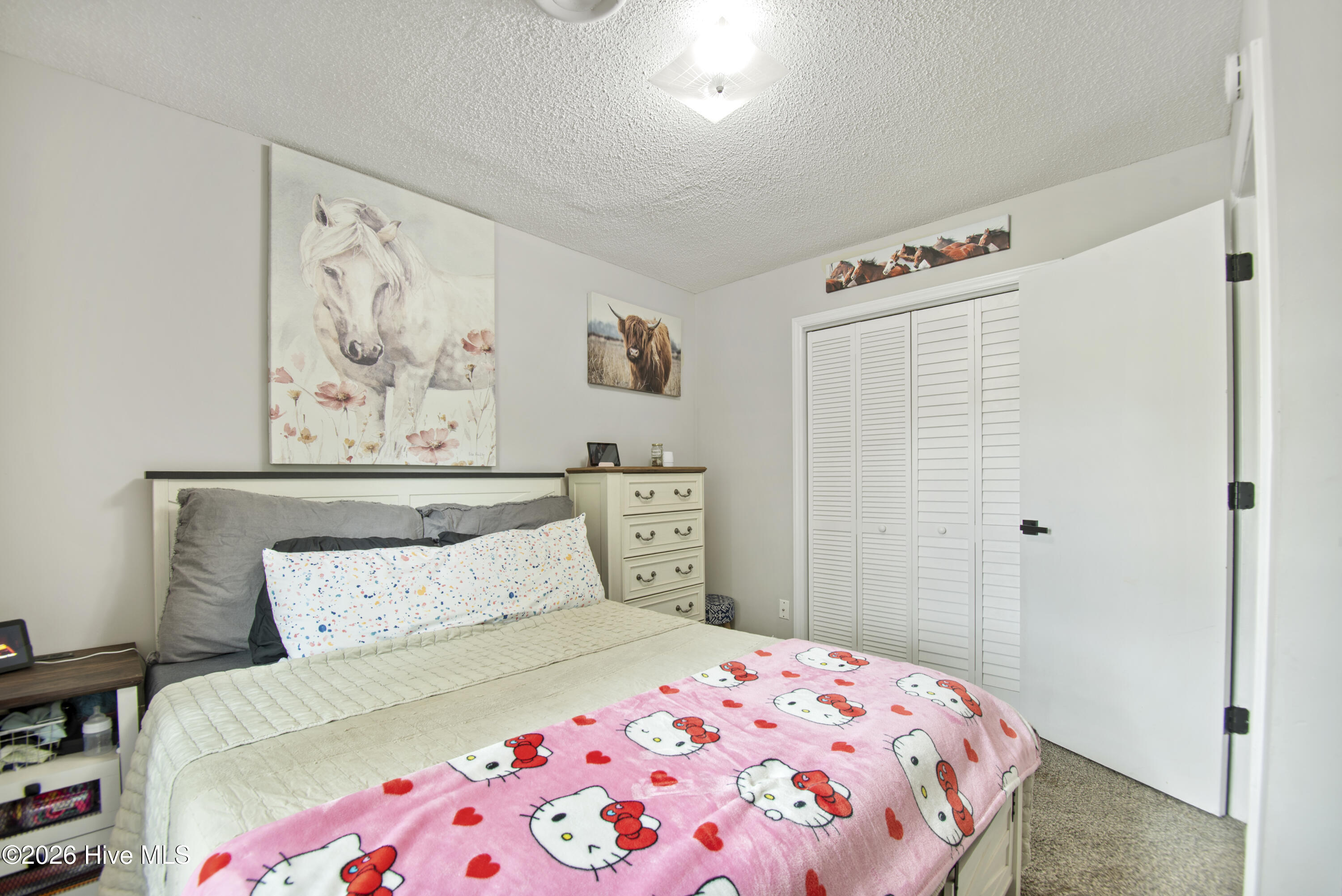 100570335 | Photo 18