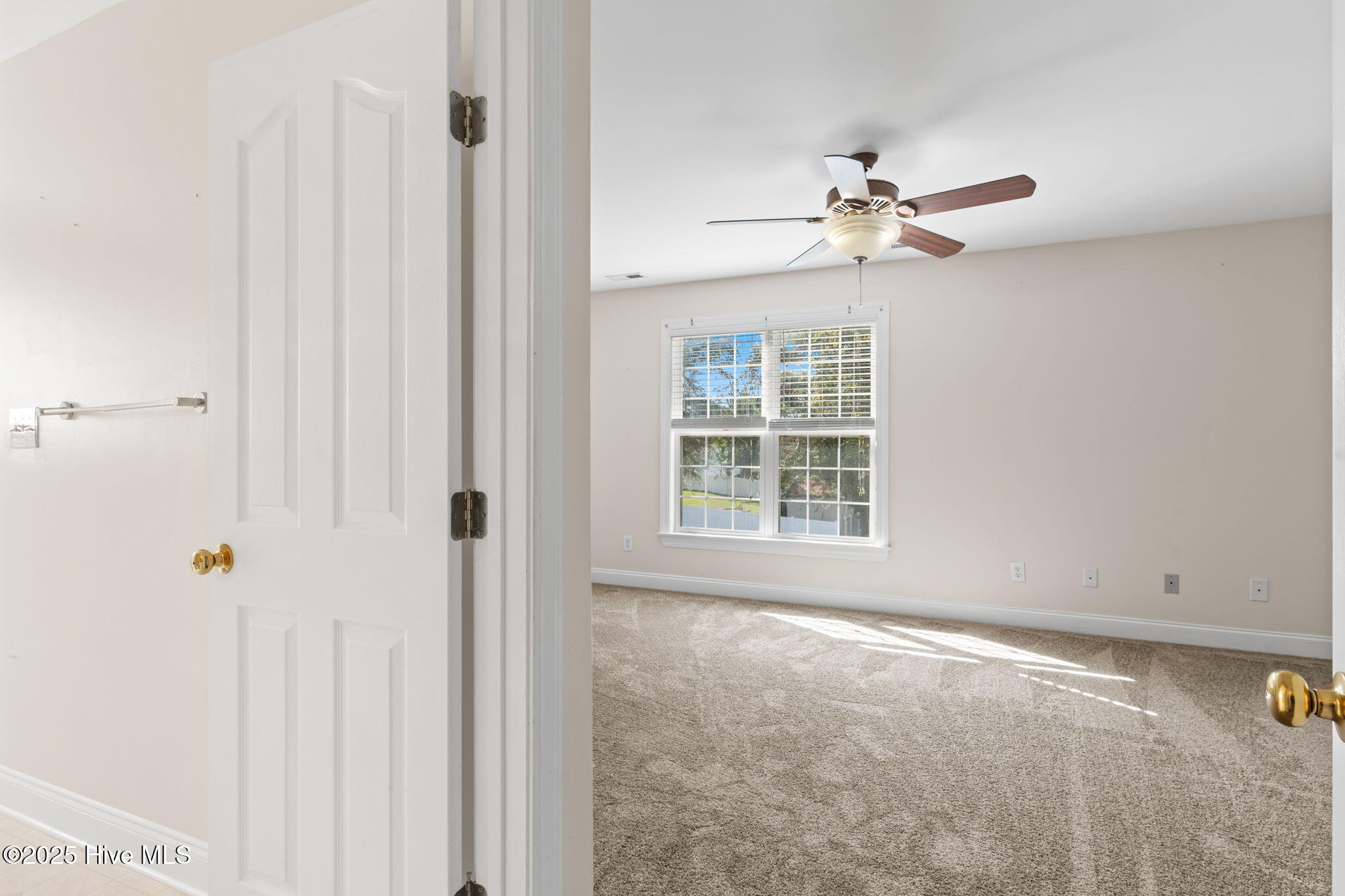 100532081 | Photo 40