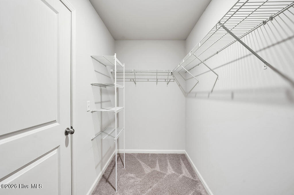 100563214 | Photo 17