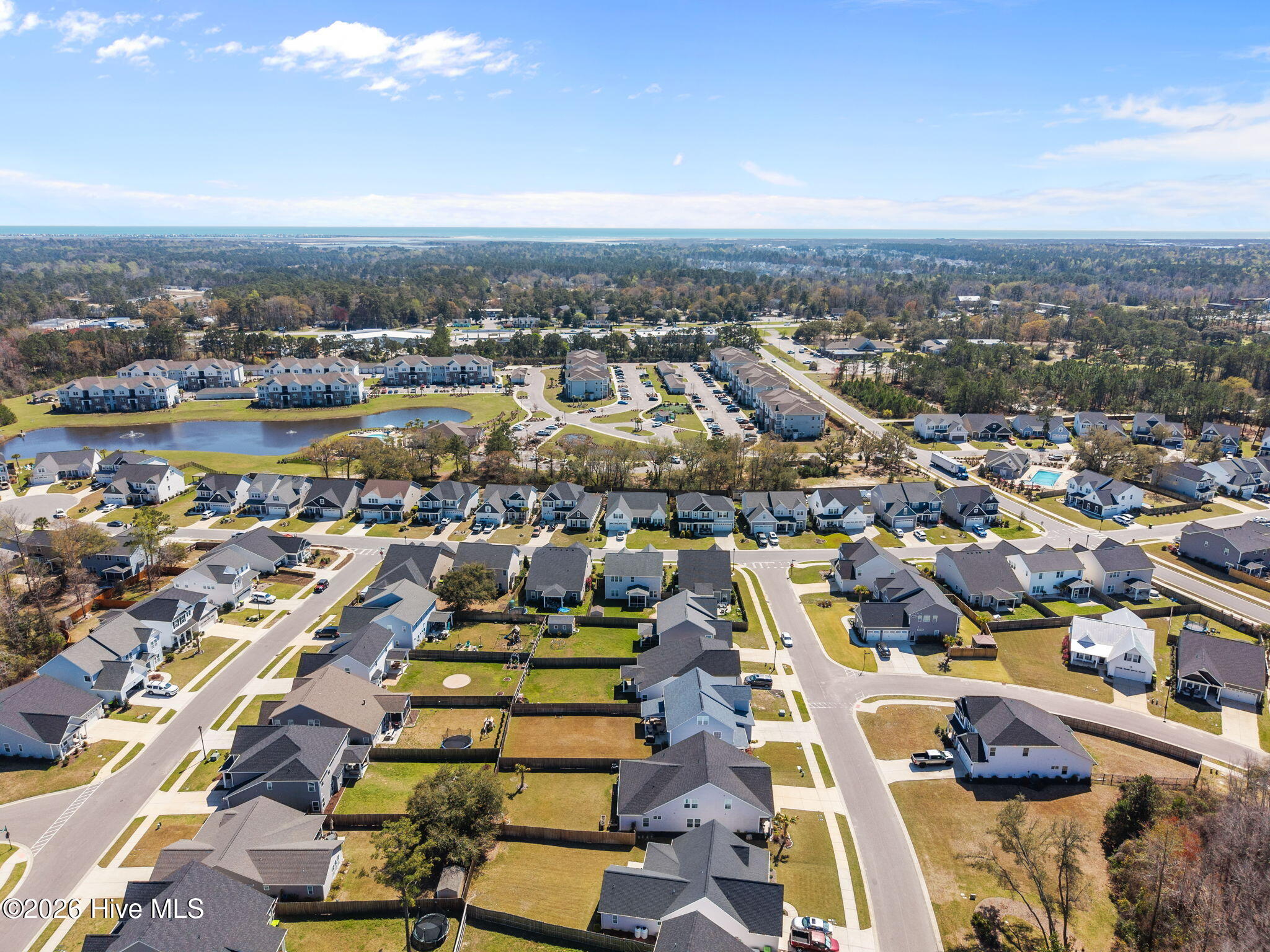 100557383 | Photo 58