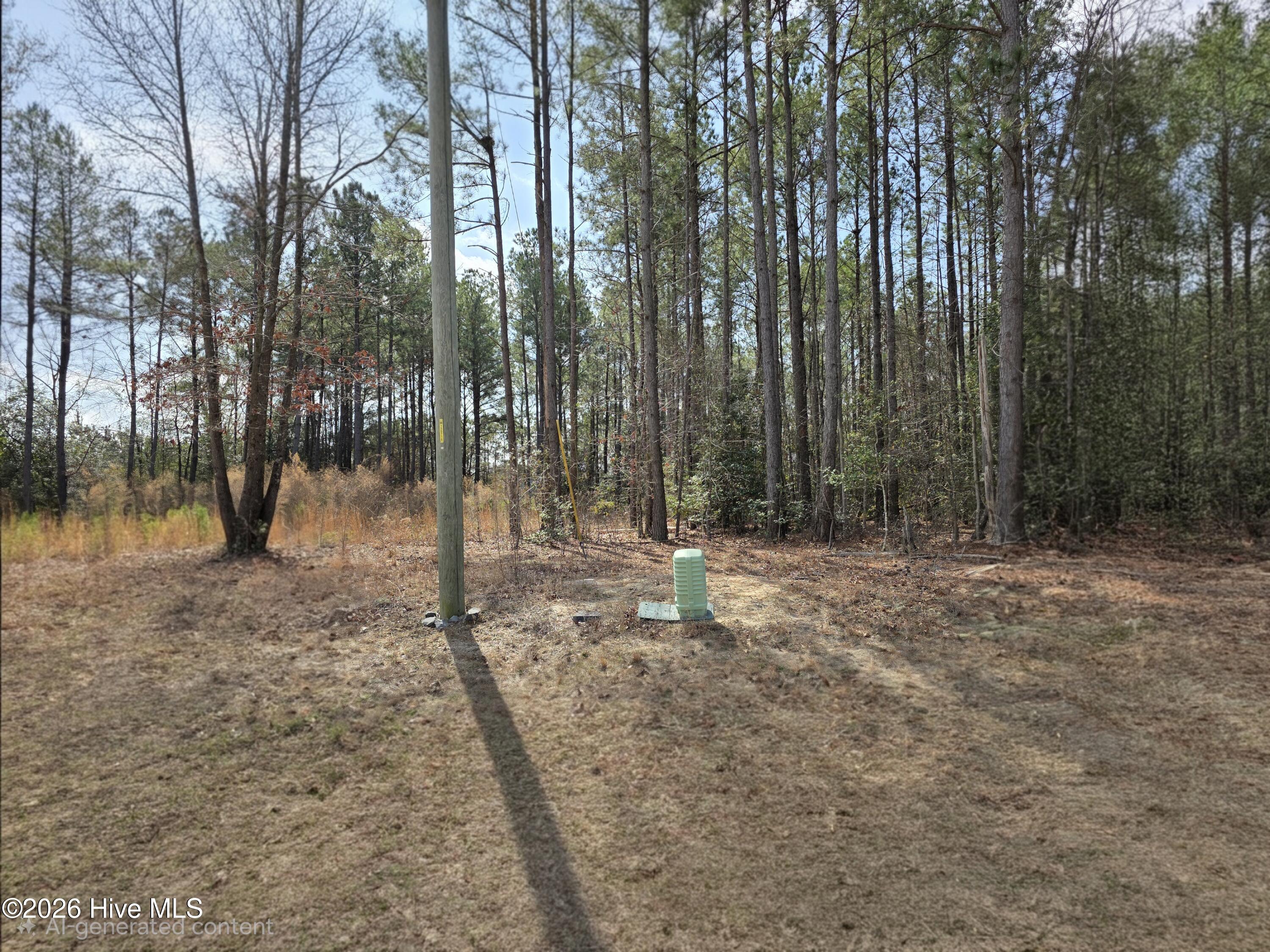 Homes for sale in Dunn, NC | 275 Raynor Sands Dr, Dunn, NC 28334 | MLS# 100558910