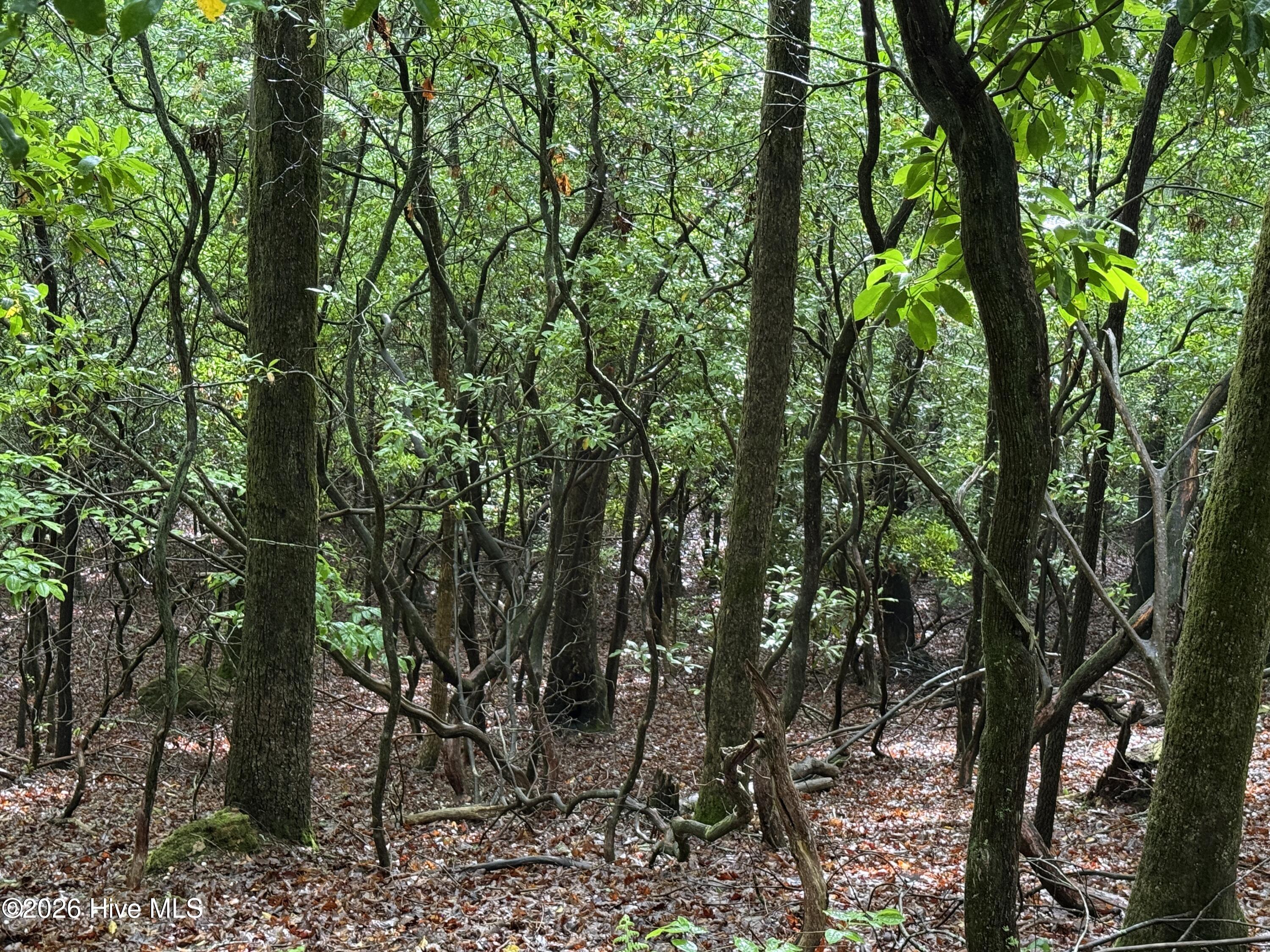 Lot 28 Atoah Loop