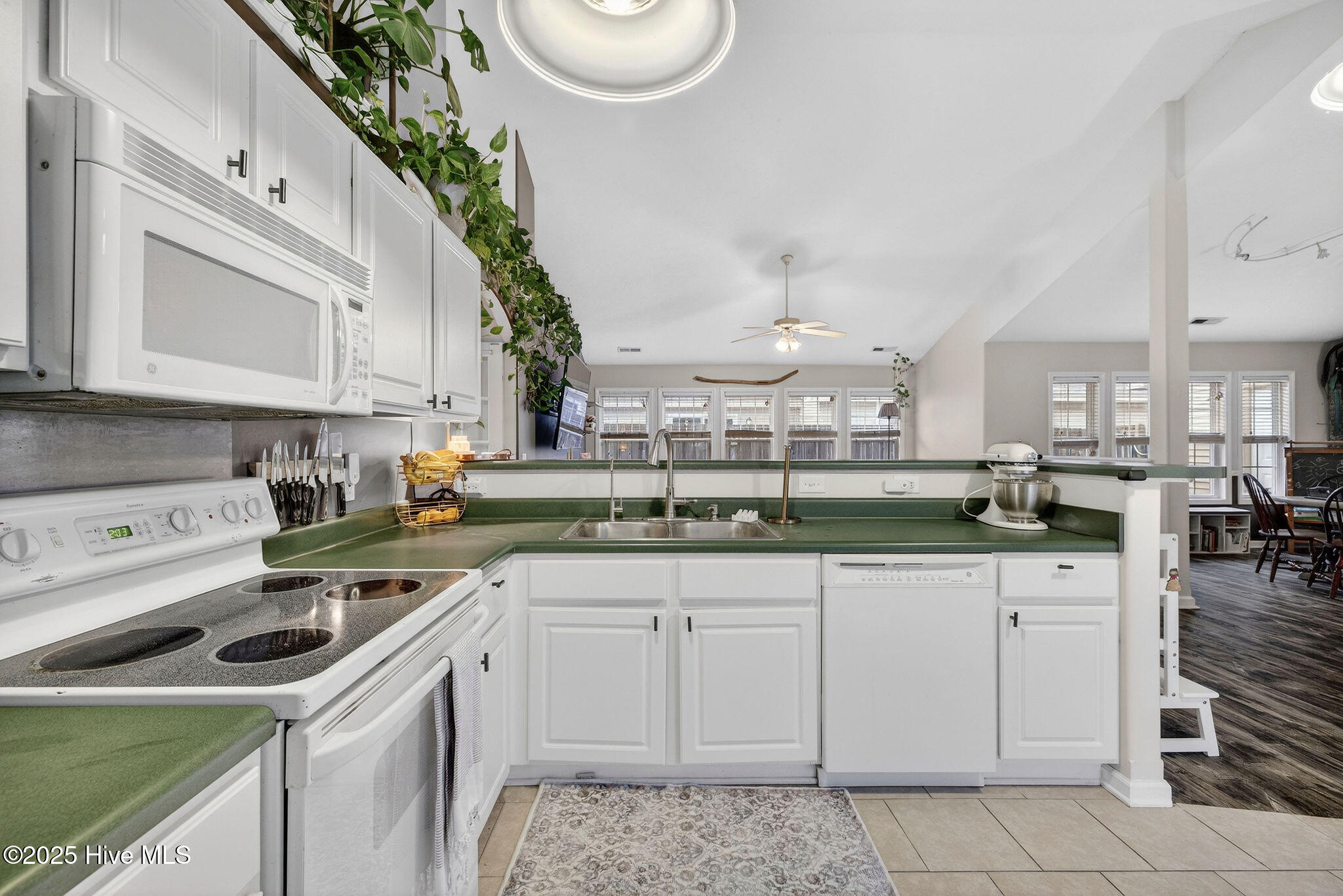 100543269 | Photo 15