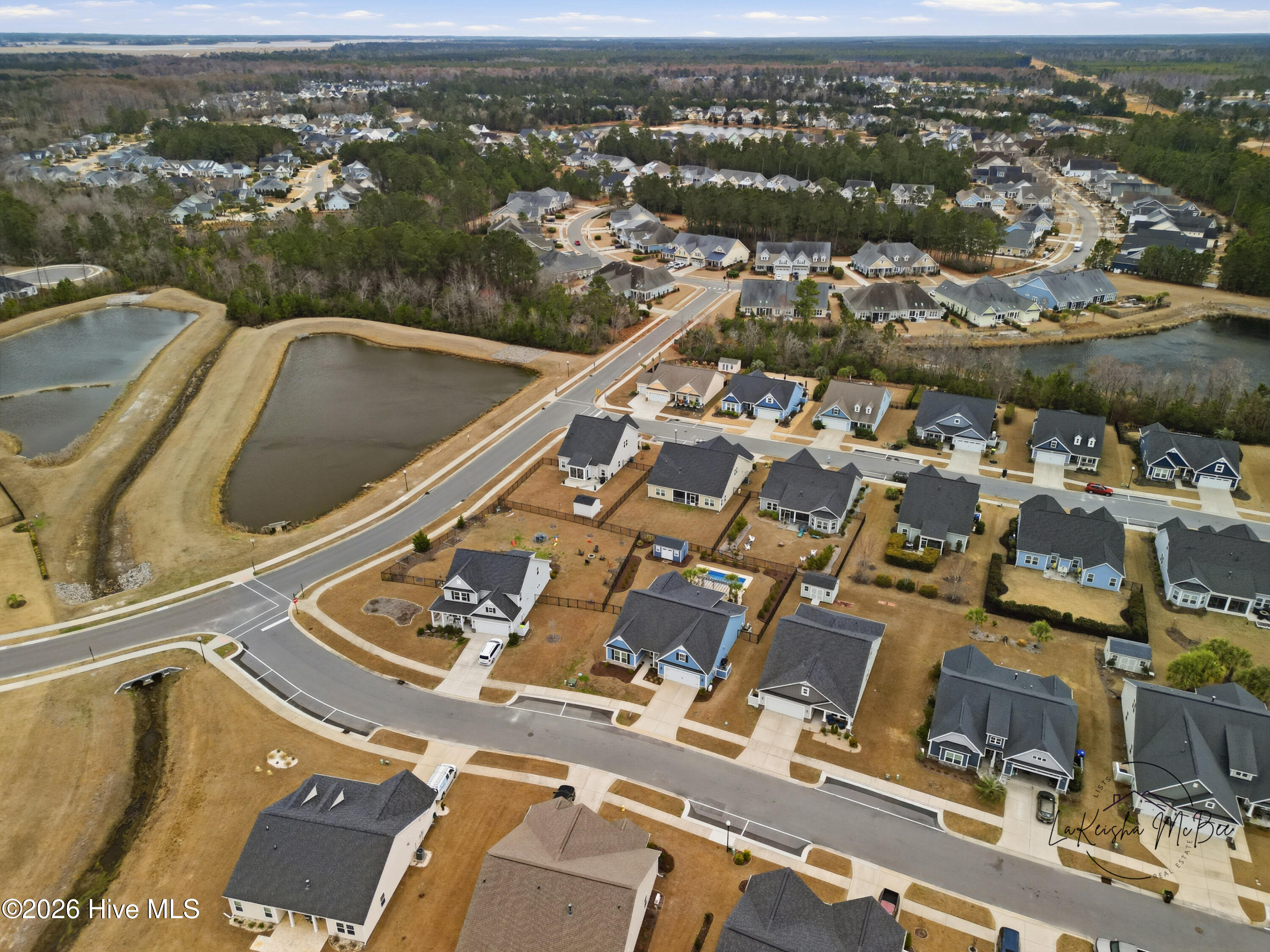 100556252 | Photo 41