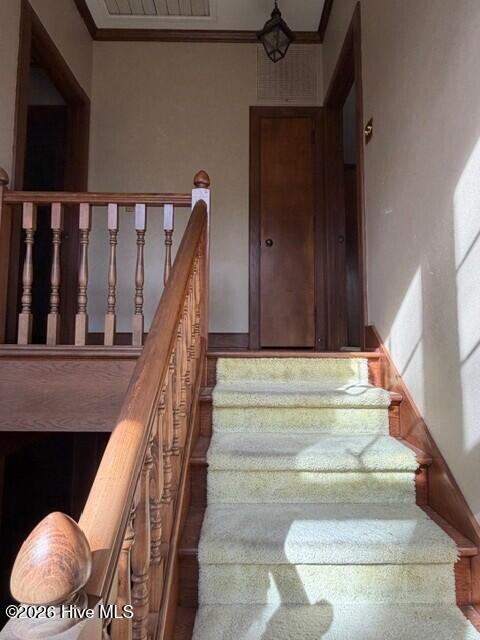 100551549 | Photo 24