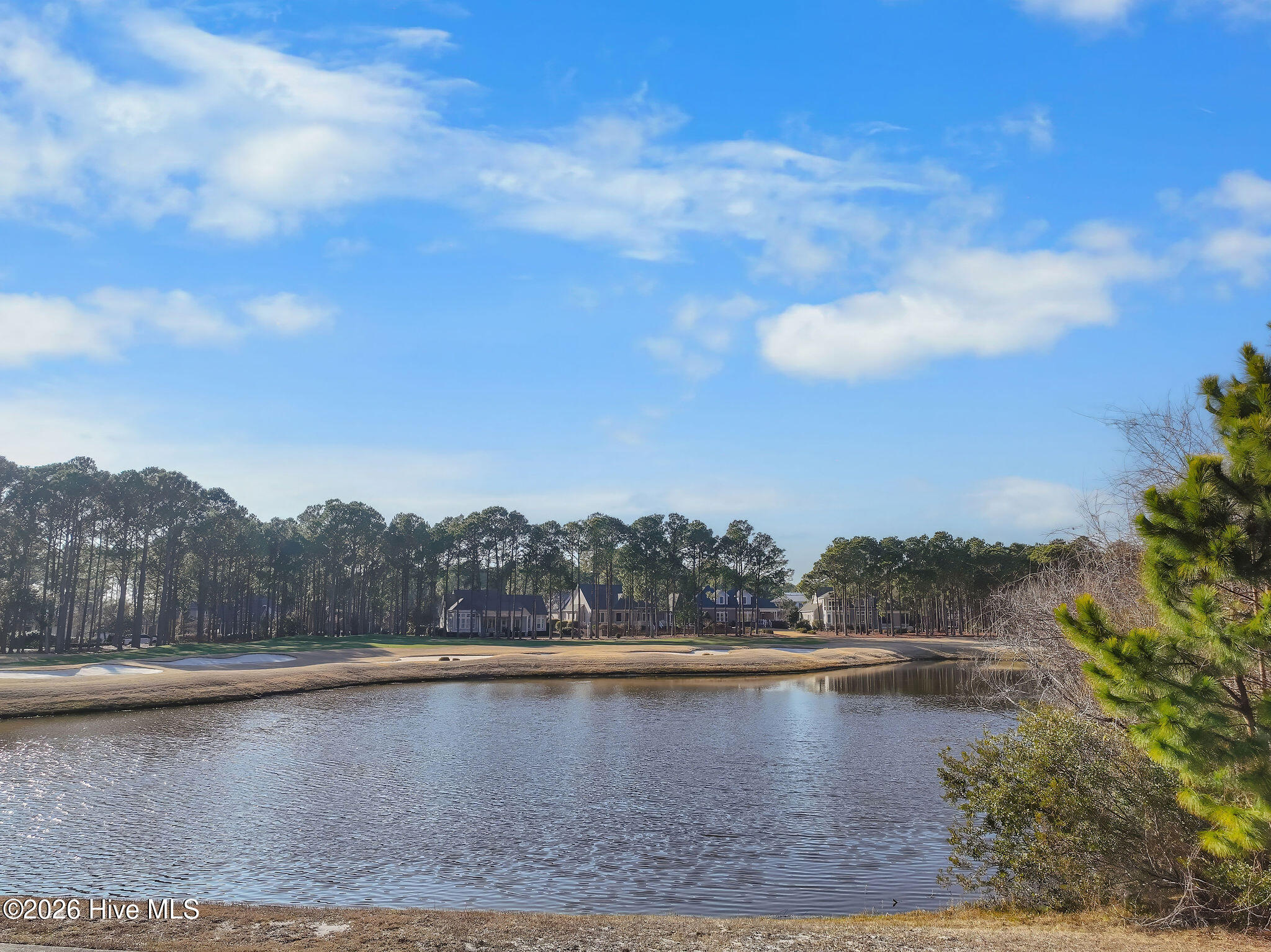 100554369 | Photo 41