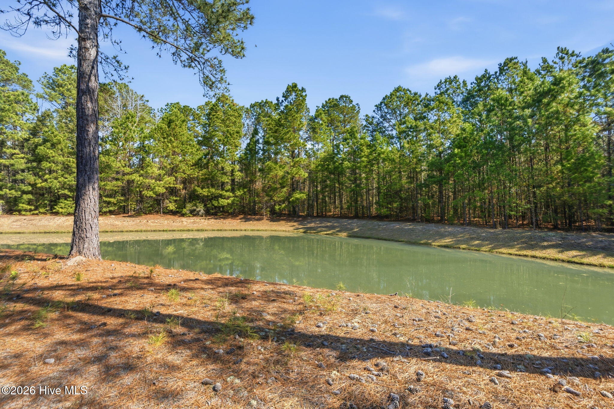 100560327 | Photo 32