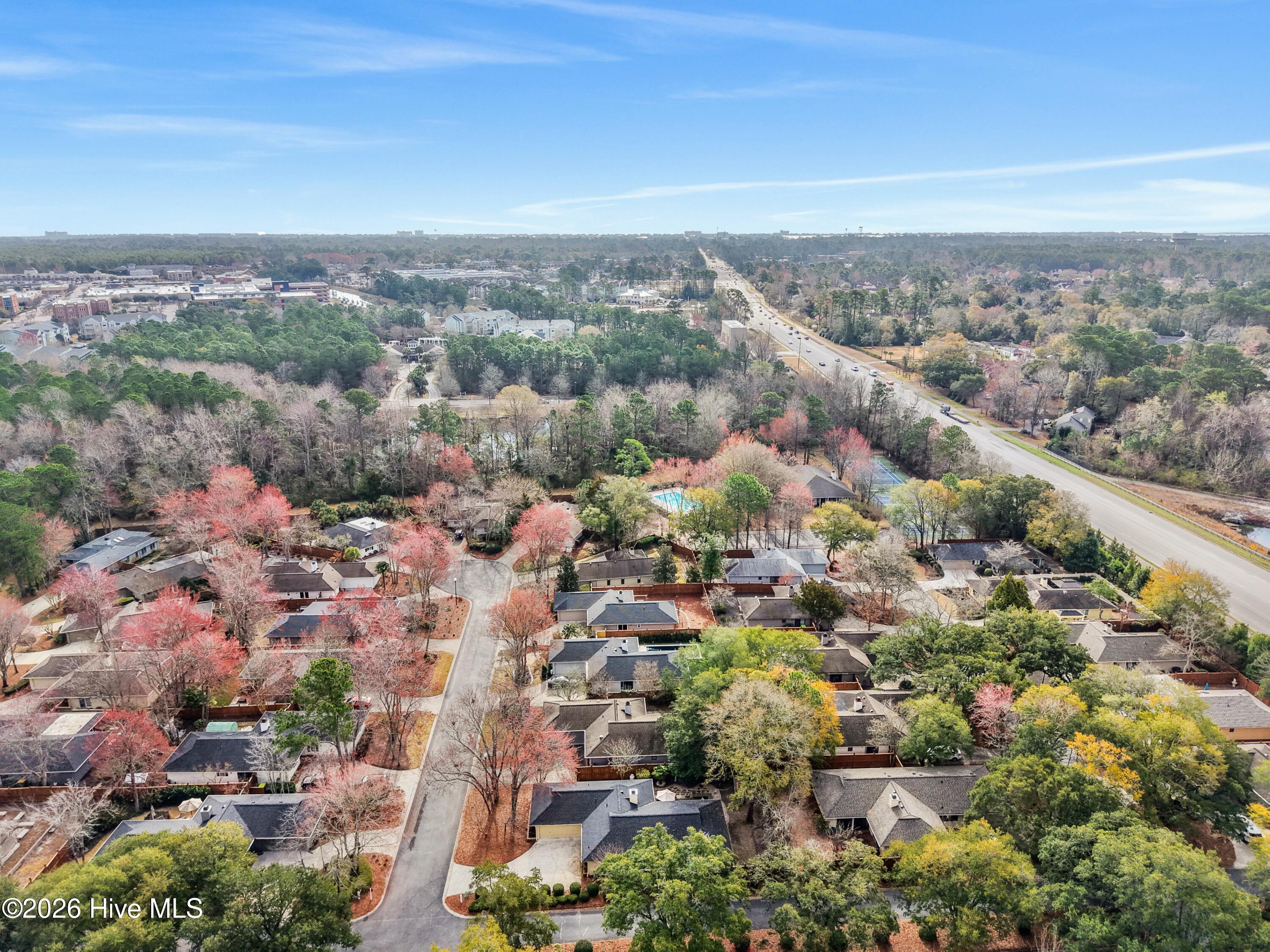 100558002 | Photo 45