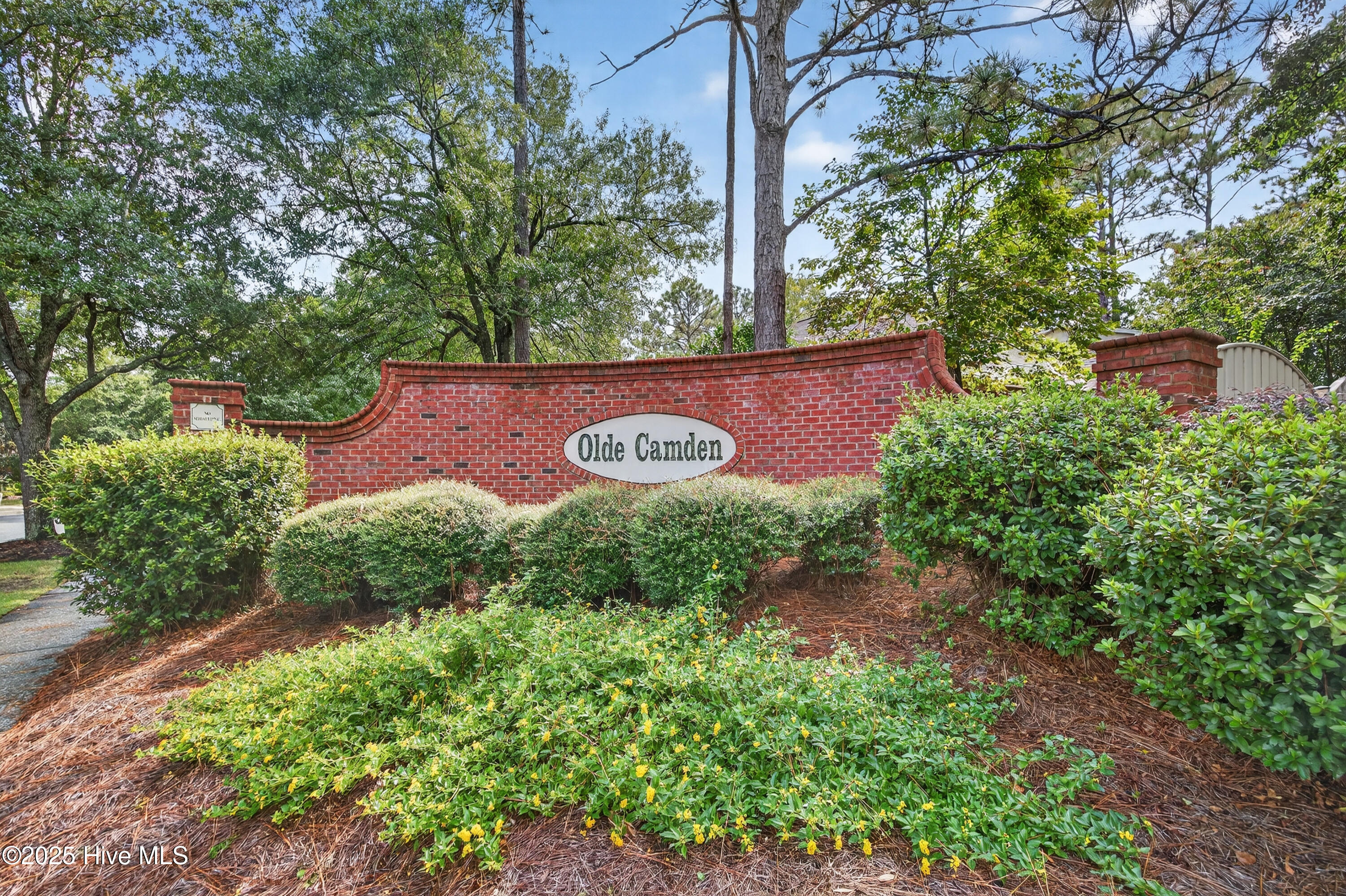 100530959 | Photo 33