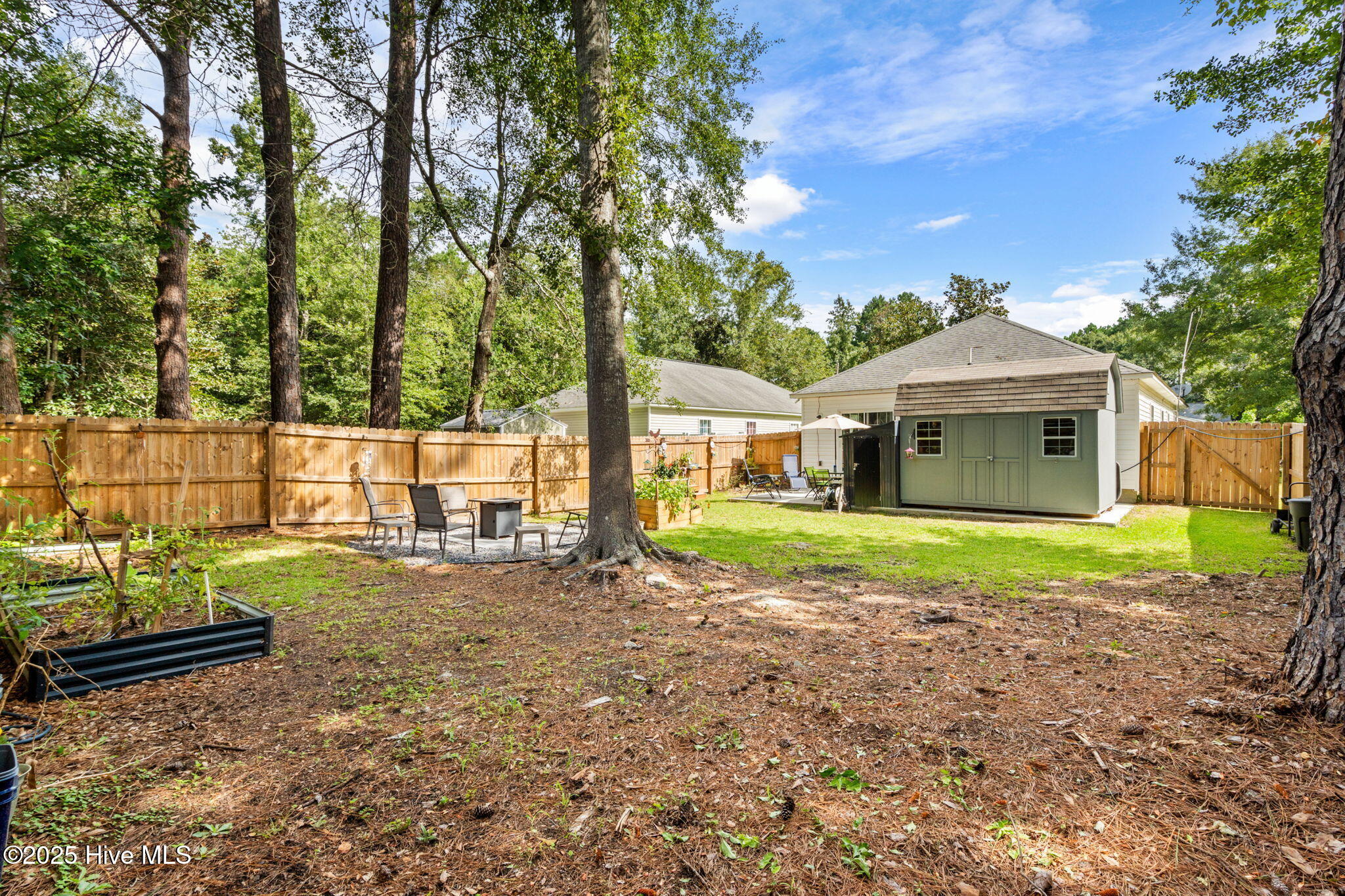 100526973 | Photo 37