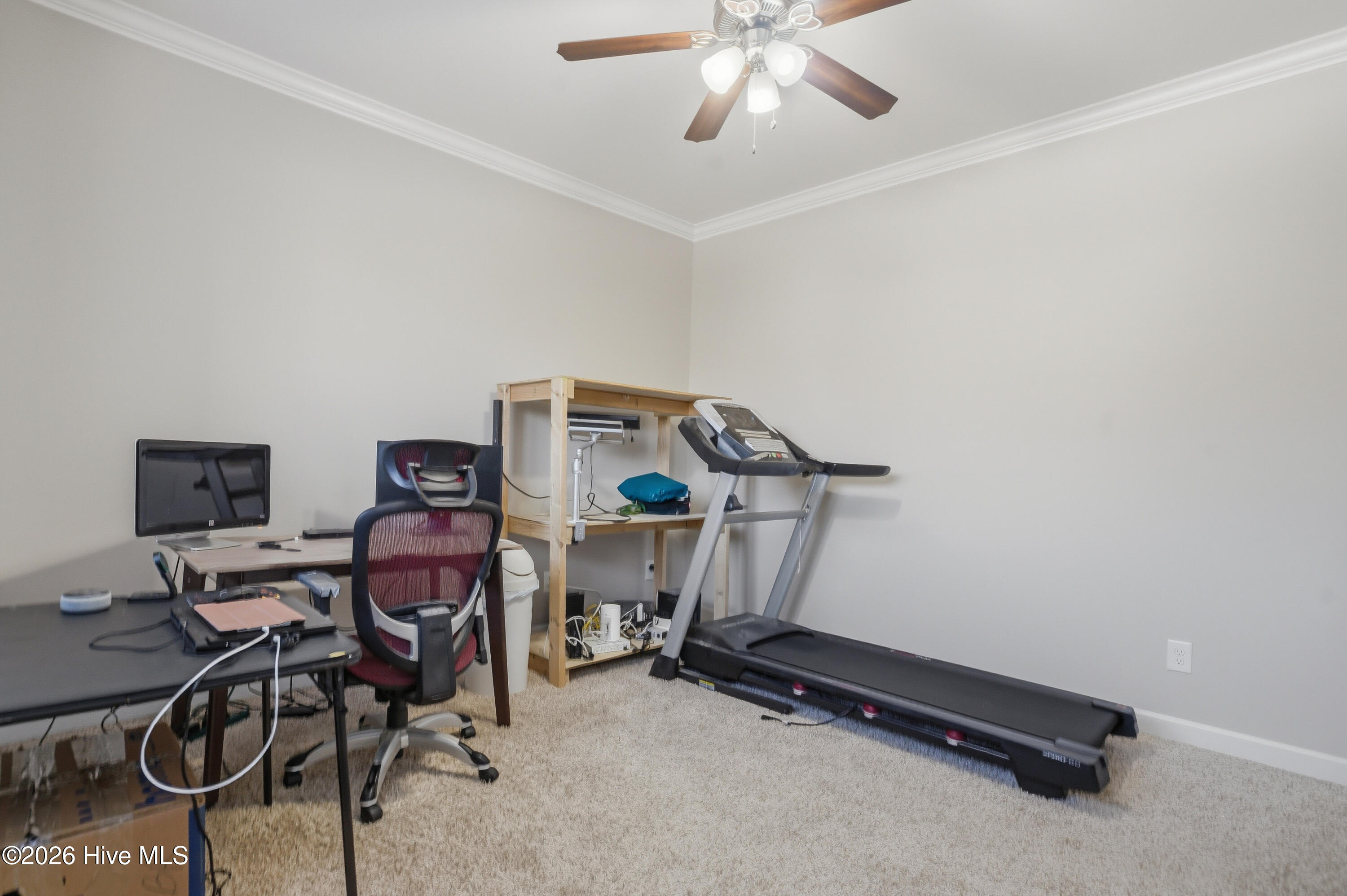 100564087 | Photo 14