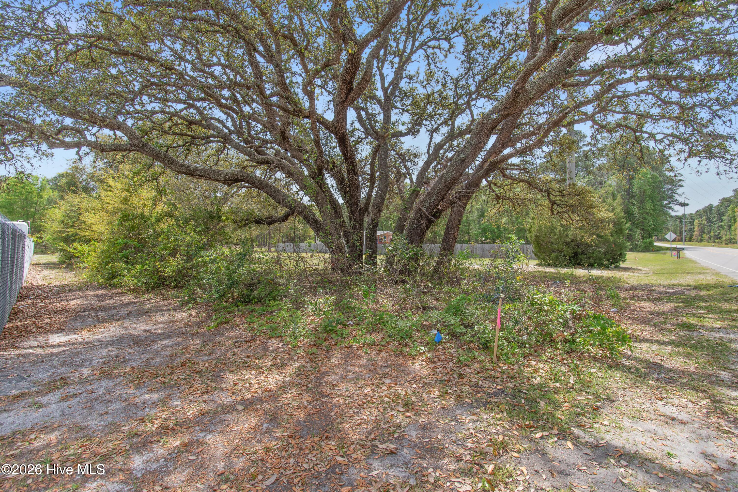 100568984 | Photo 16