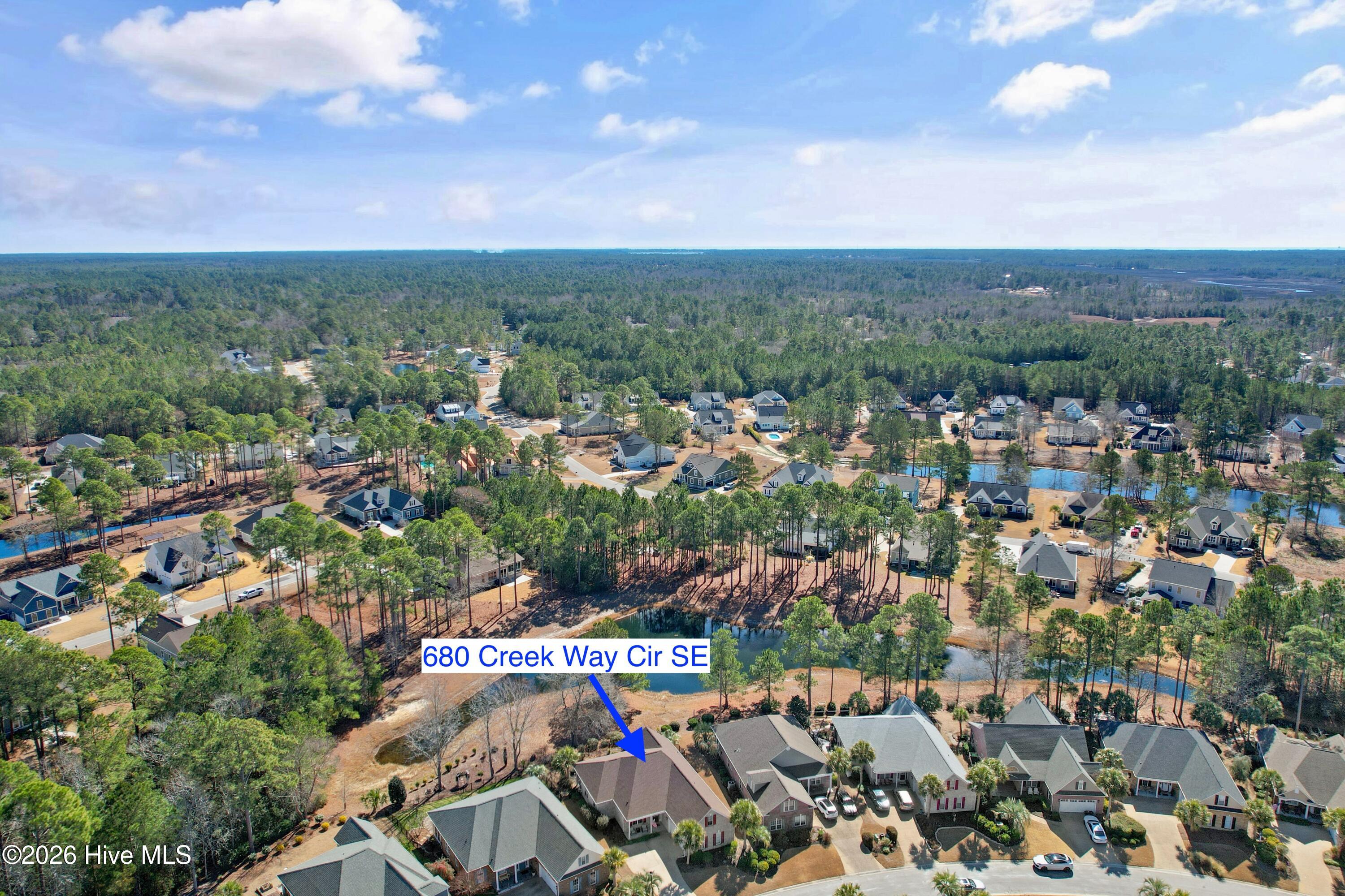 100554573 | Photo 50