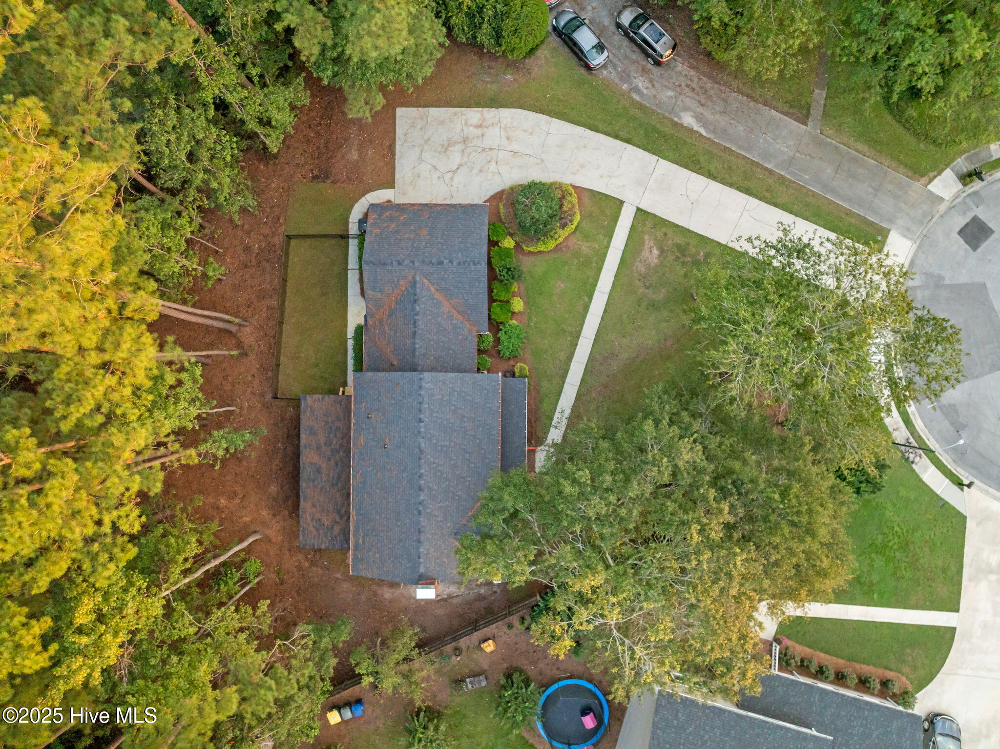 100506266 | Photo 18