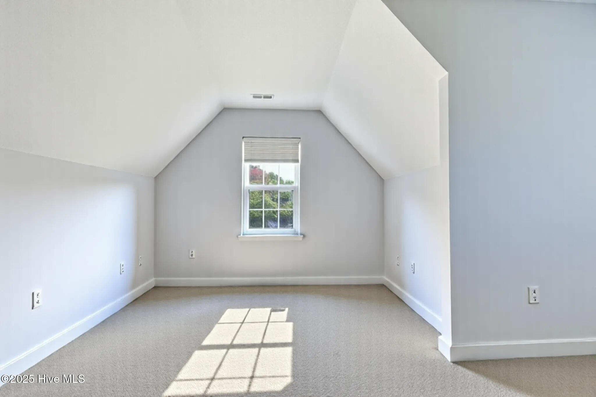 113 Knotts Court, Sneads Ferry, NC 28460 – photo 12: bonus empty