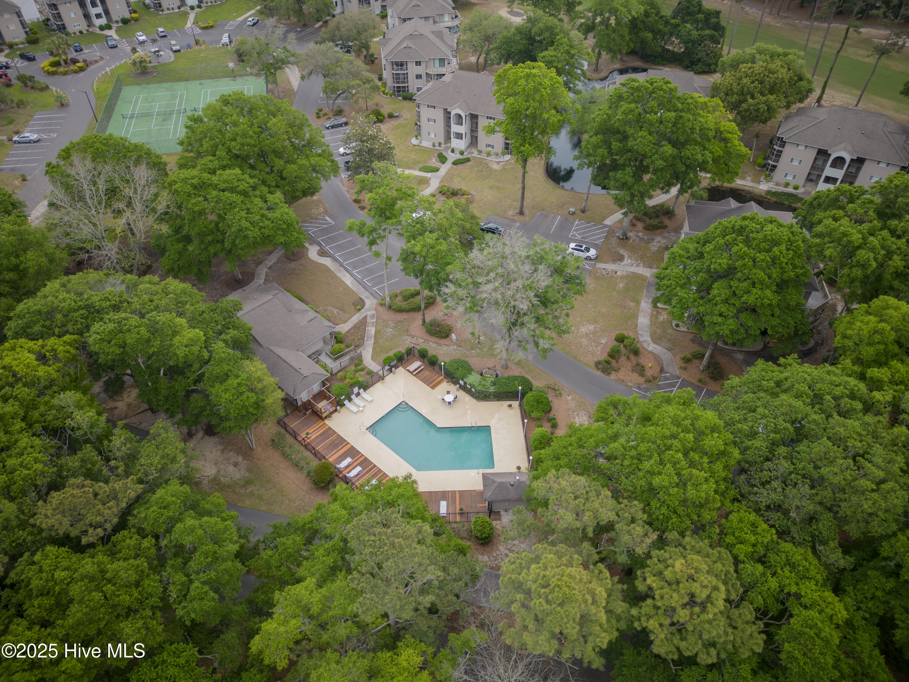 100508575 | Photo 34